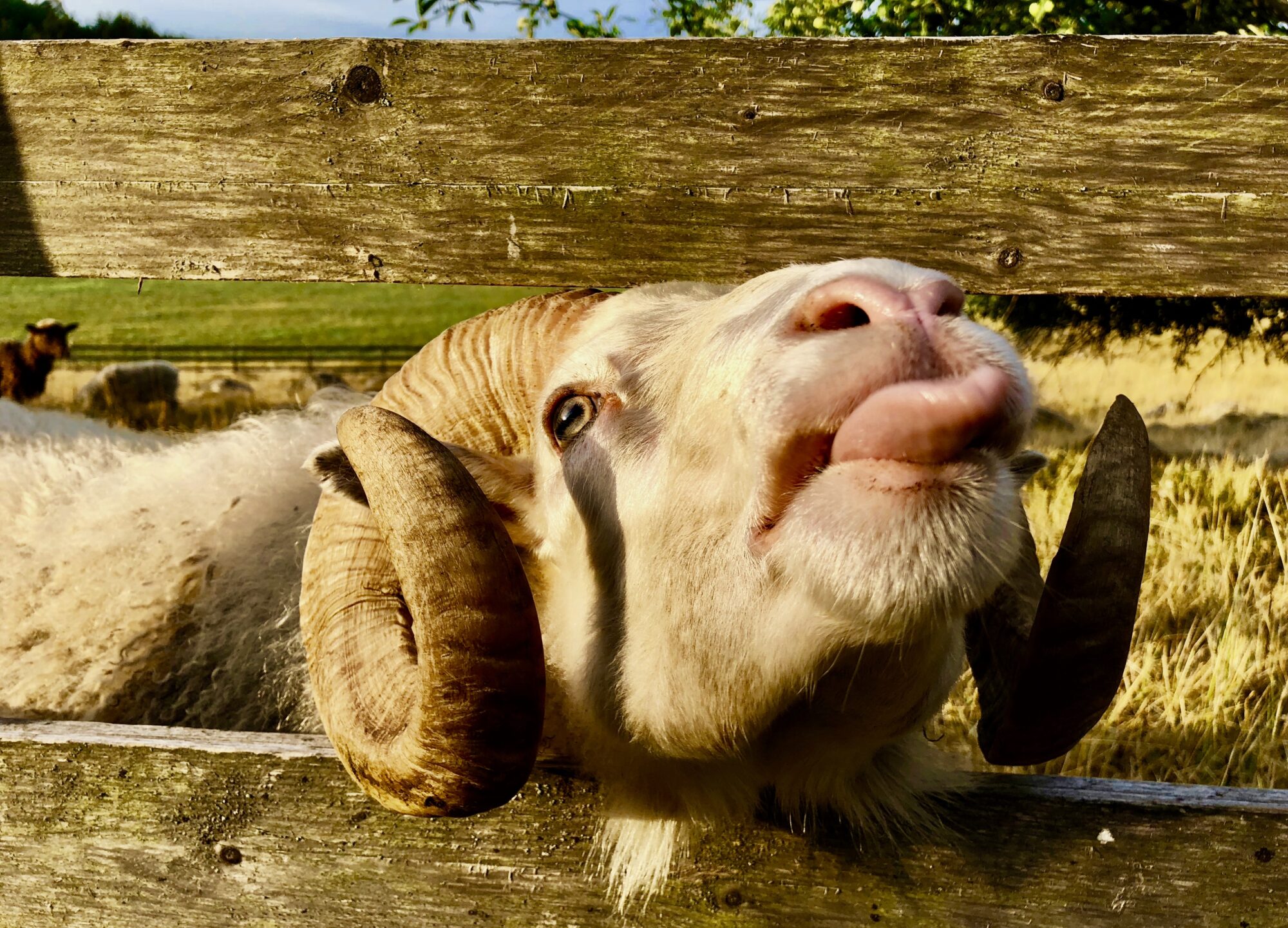 Valokuvaaja: Juhani Peltonen