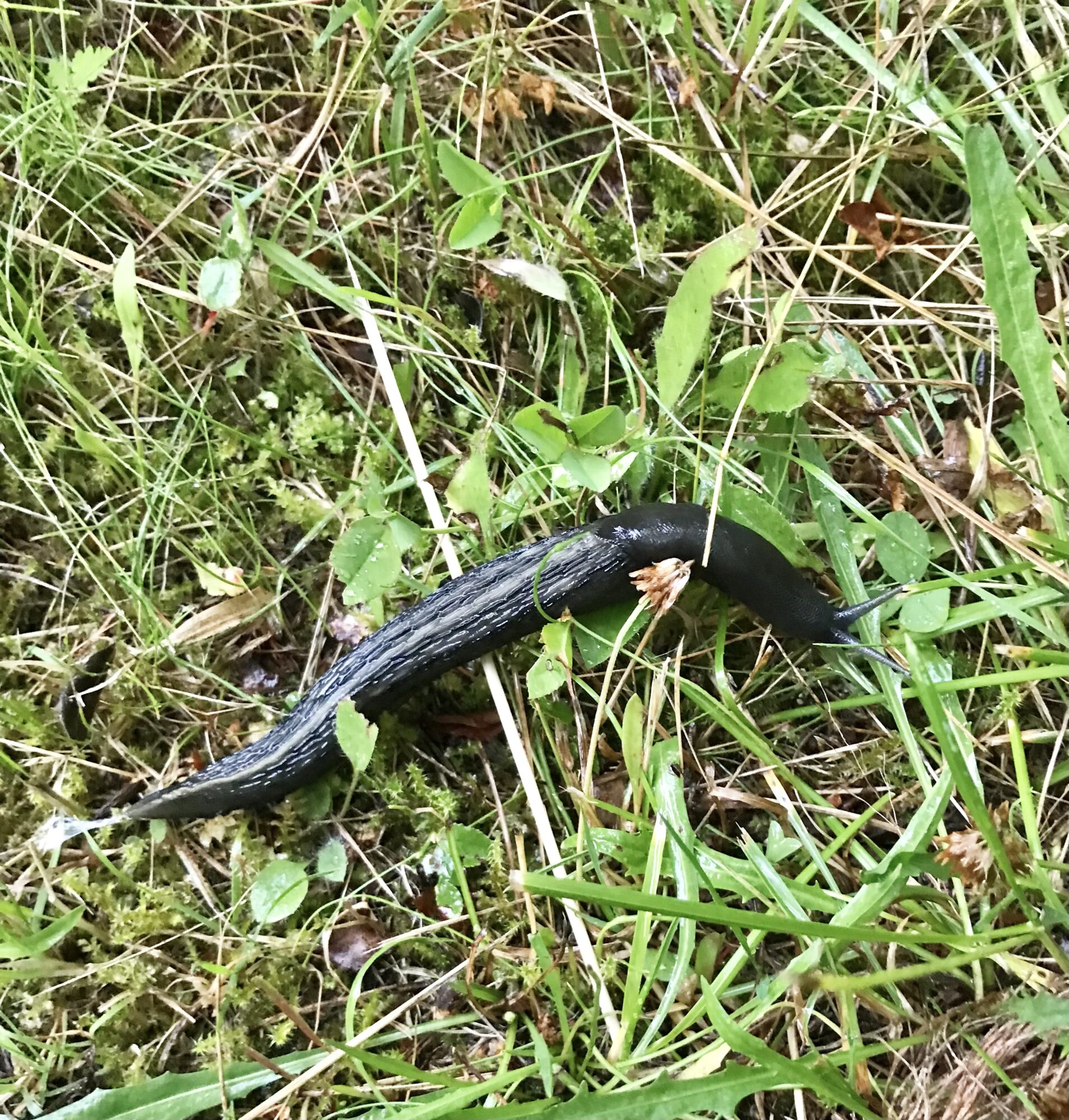 Valokuvaaja: Tero Korhonen