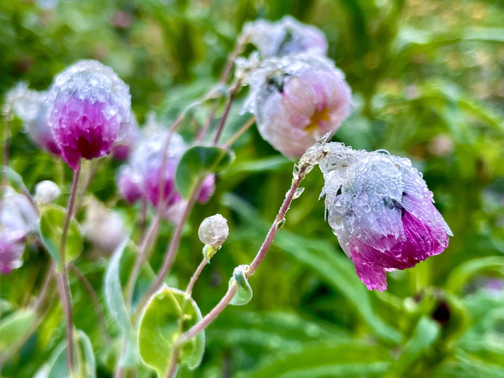 Valokuvaaja: Juhani Peltonen