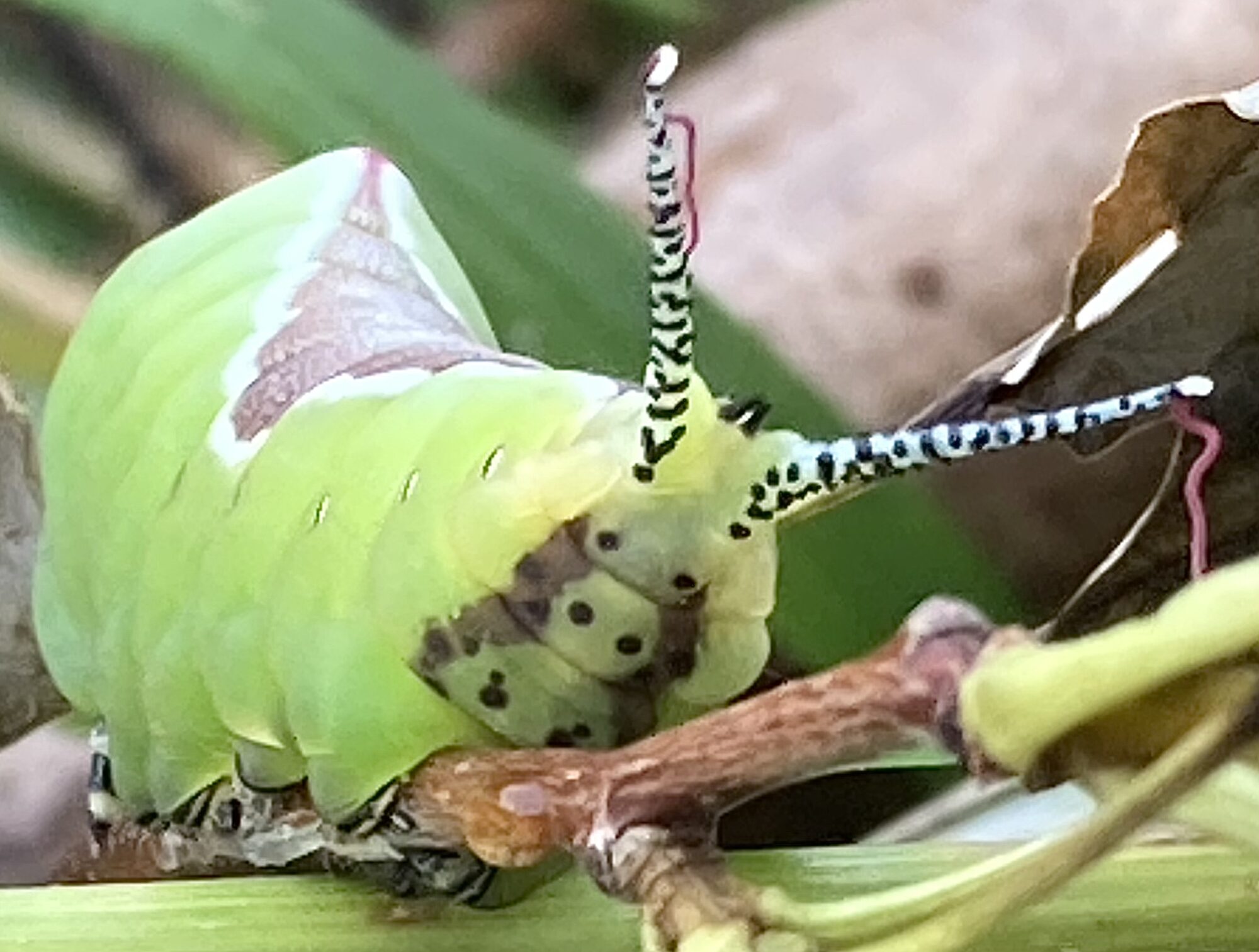 Valokuvaaja: Tuula Huuhtanen Valokuvaaja: Tuula Huuhtanen