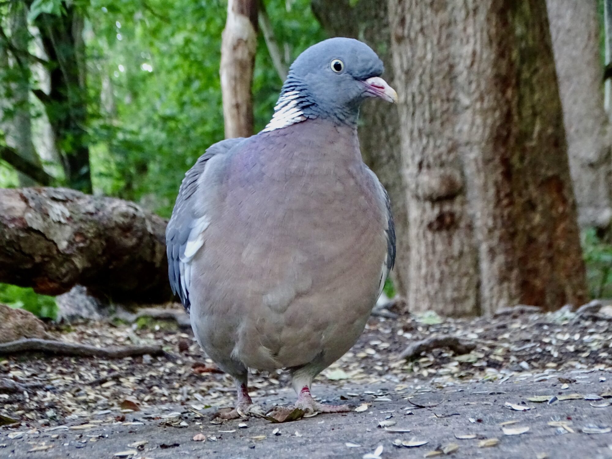 Valokuvaaja: Juhani Peltonen