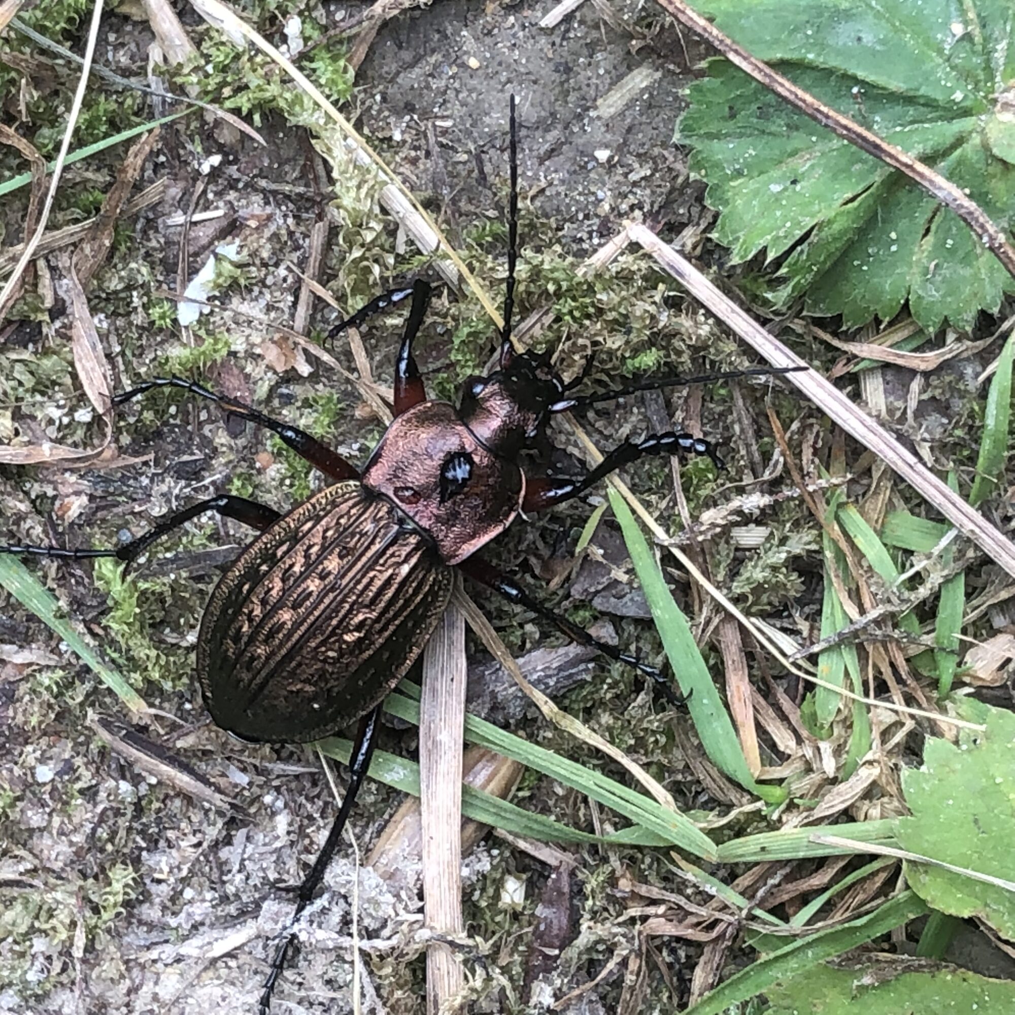 Valokuvaaja: Johanna Tuomi-Hynninen