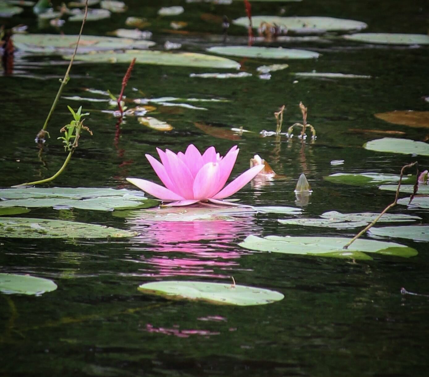 Valokuvaaja: Sari Salama