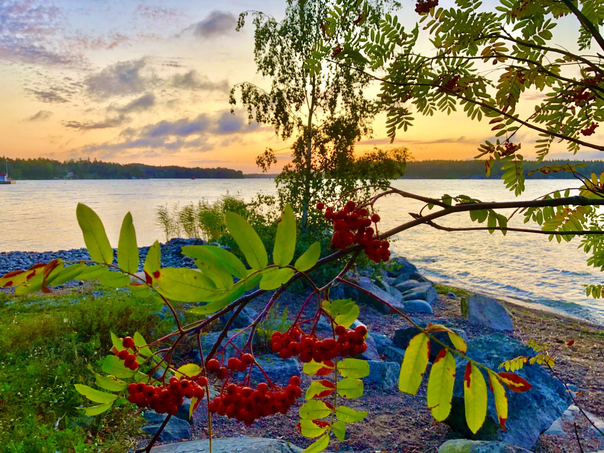 Valokuvaaja: Juhani Peltonen