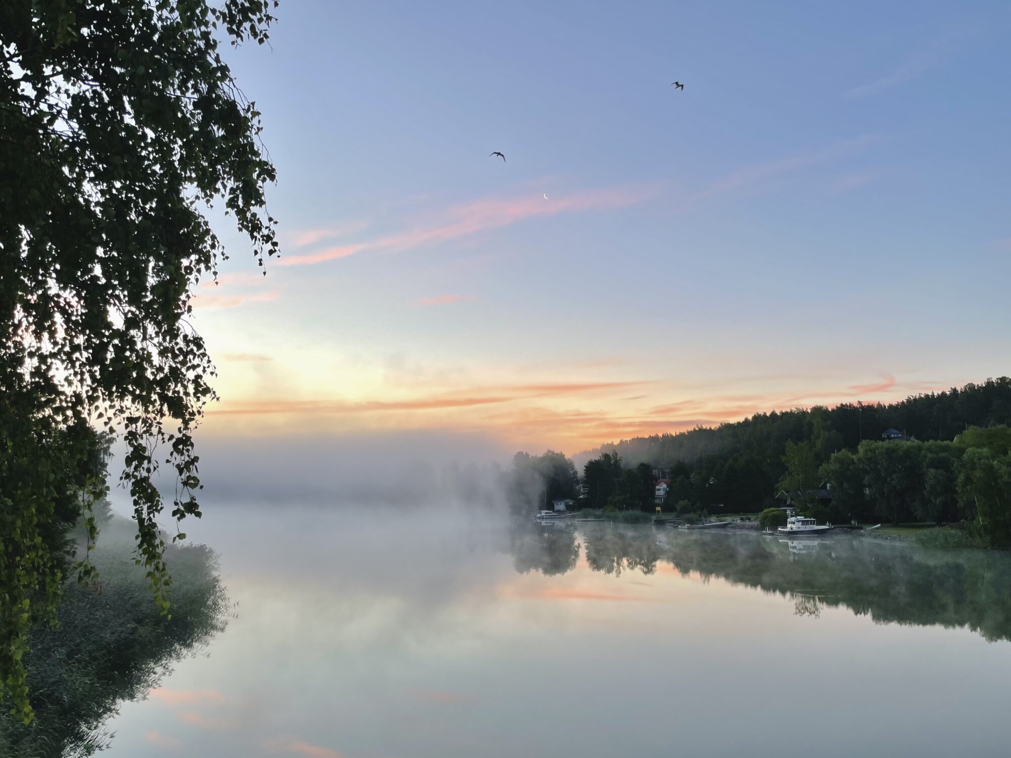 Valokuvaaja: Juhani Peltonen