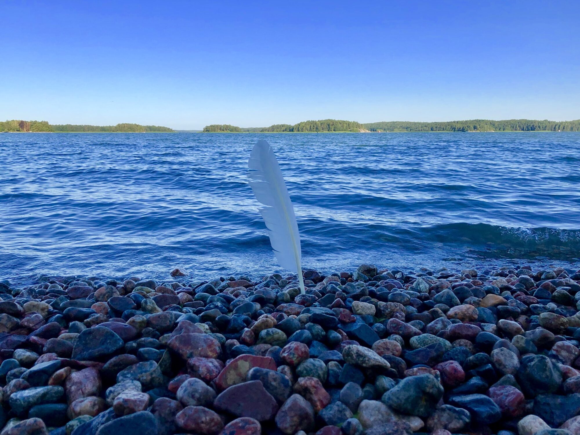 Valokuvaaja: Juhani Peltonen