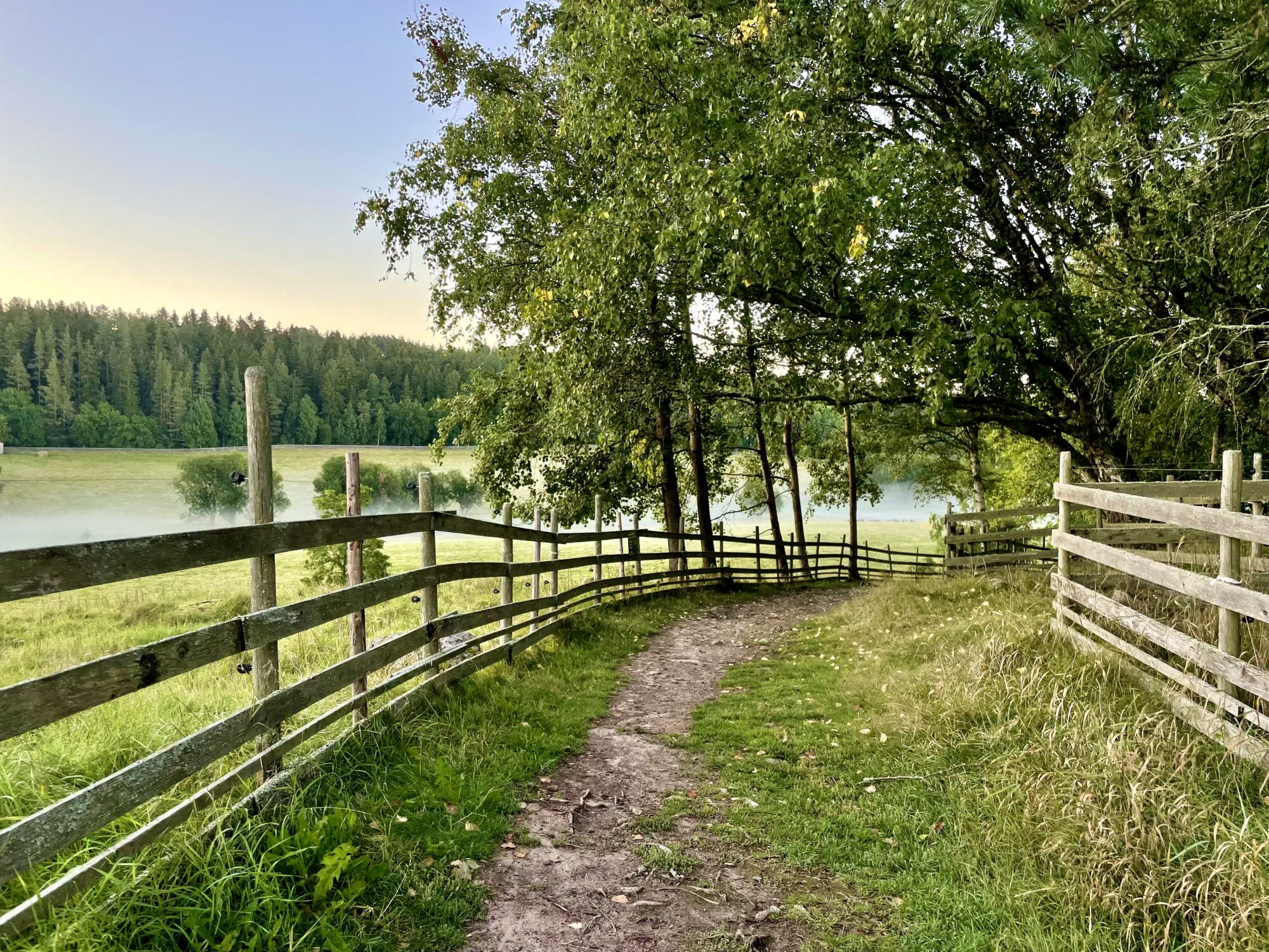 Valokuvaaja: Juhani Peltonen