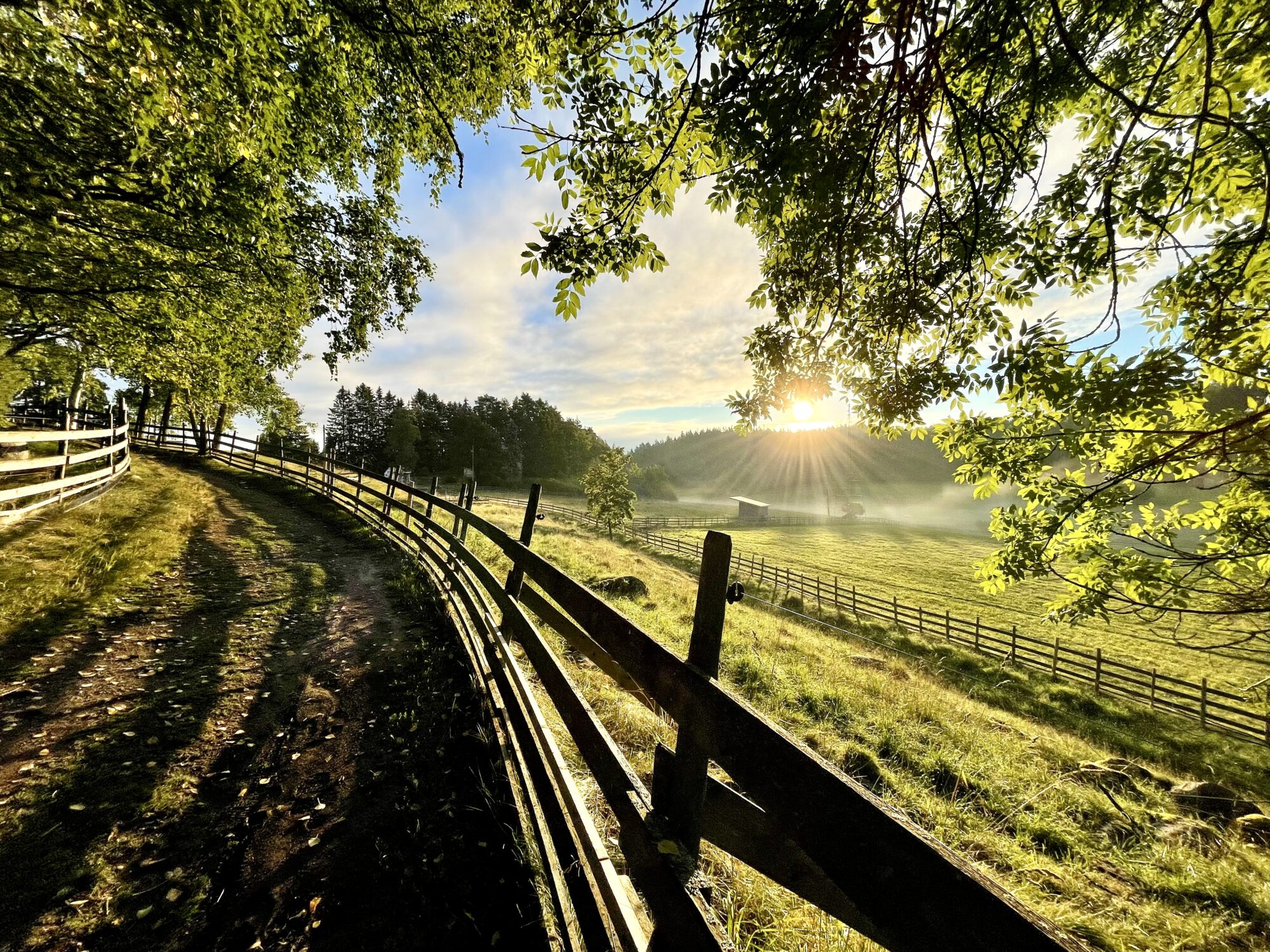 Valokuvaaja: Juhani Peltonen