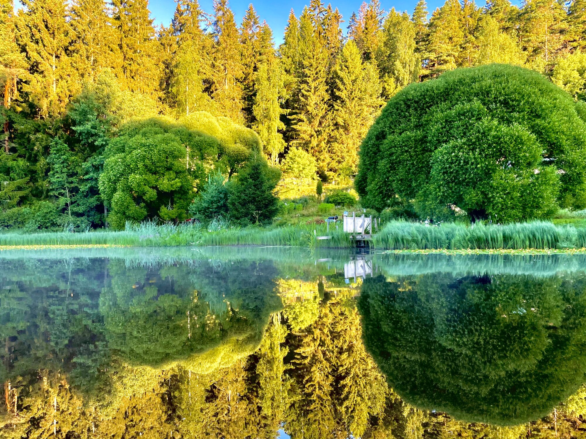 Valokuvaaja: Juhani Peltonen