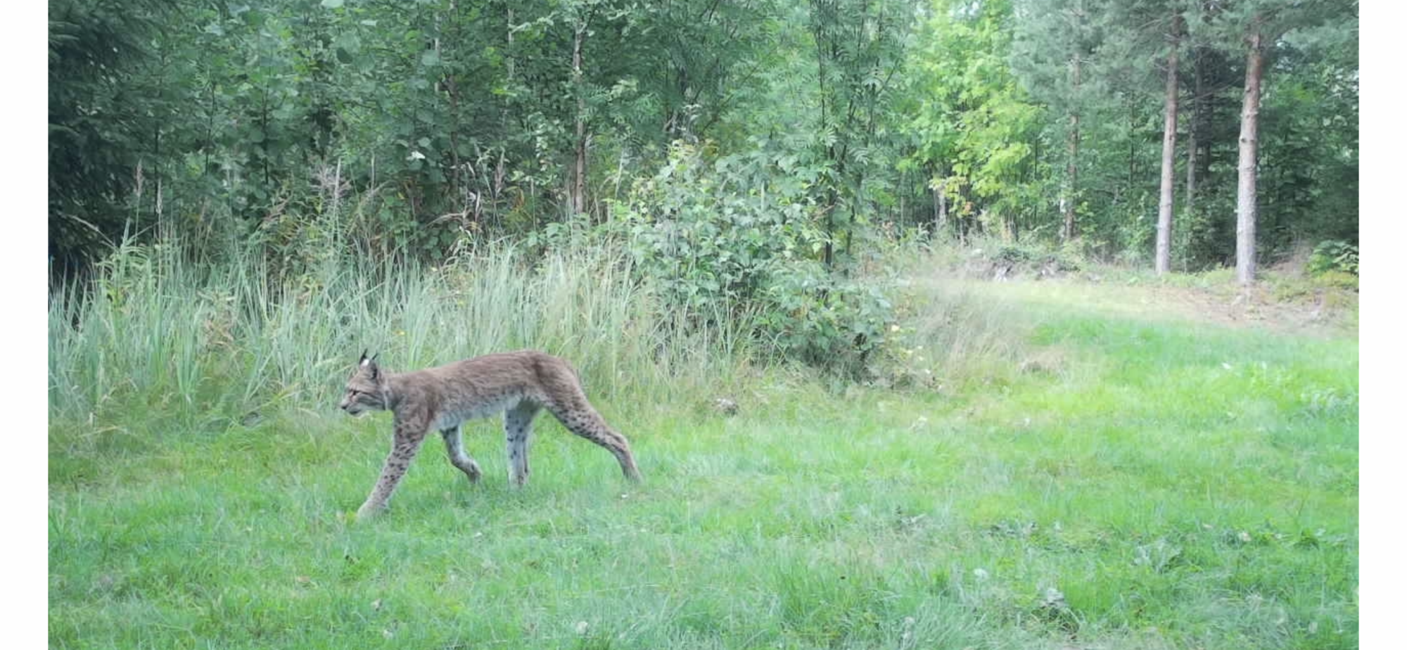 Valokuvaaja: Tuovi Tanskanen Valokuvaaja: Tuovi Tanskanen