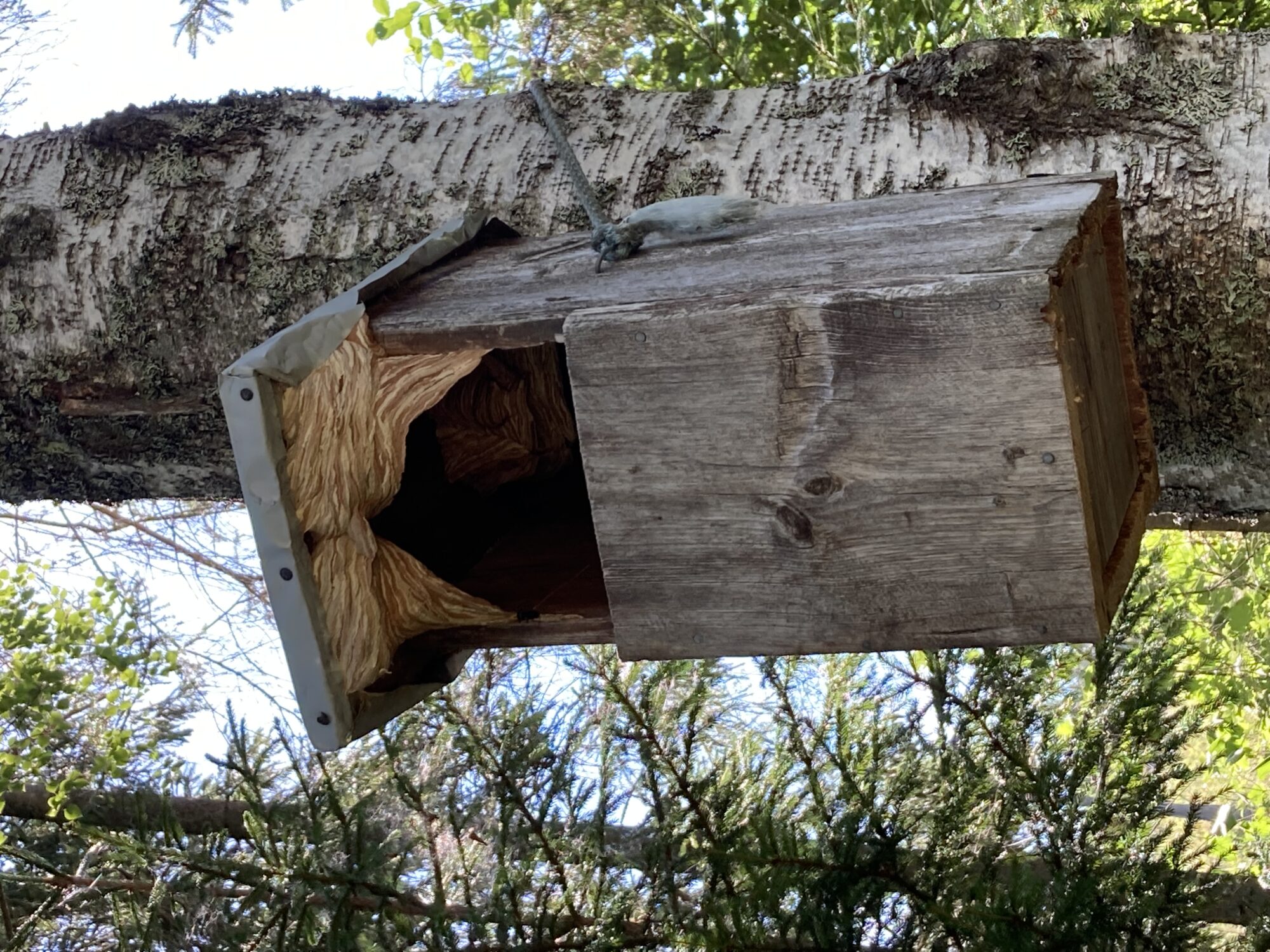 Valokuvaaja: Riitta Holsti