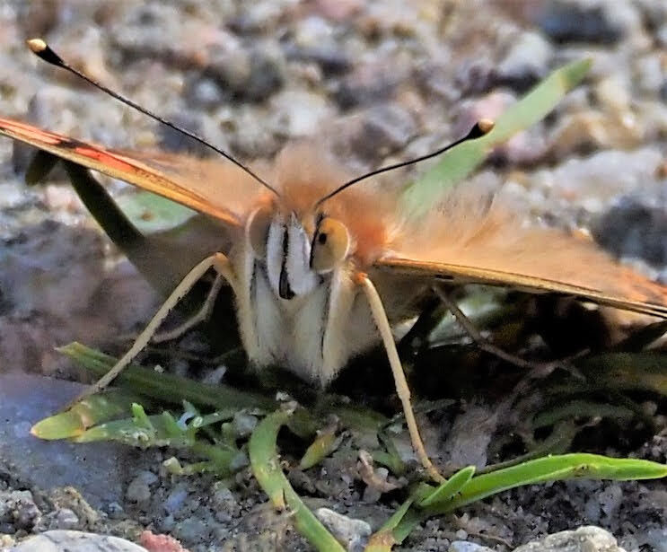 Valokuvaaja: Annikki Kärkkäinen Valokuvaaja: Annikki Kärkkäinen