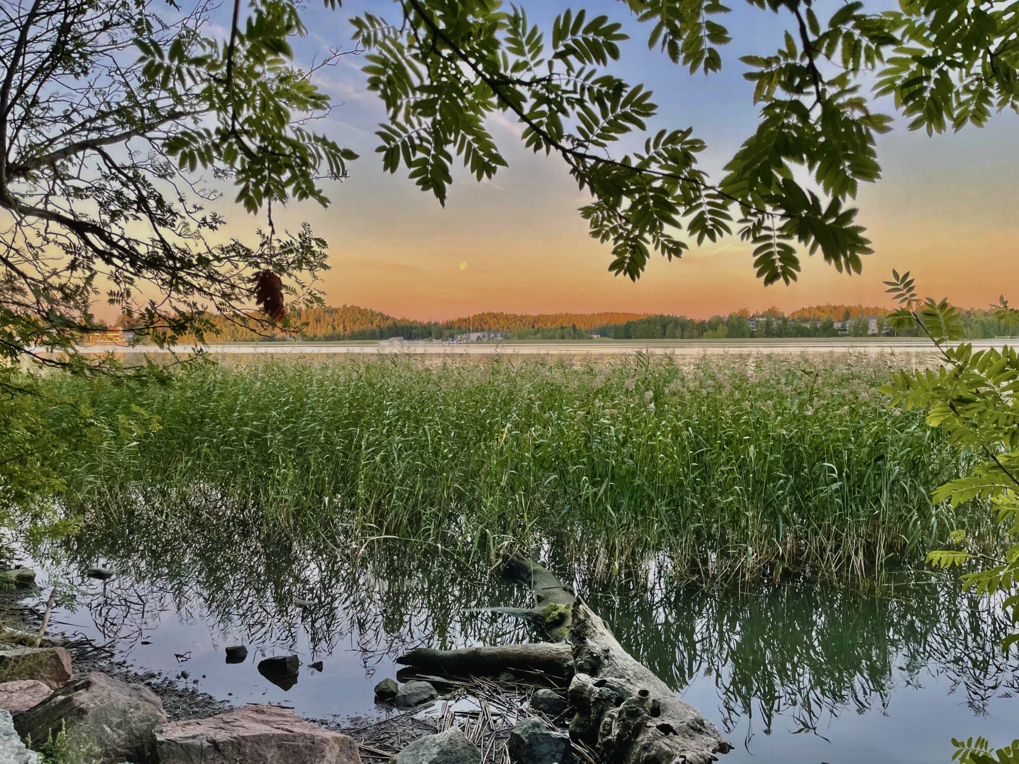 Valokuvaaja: Juhani Peltonen