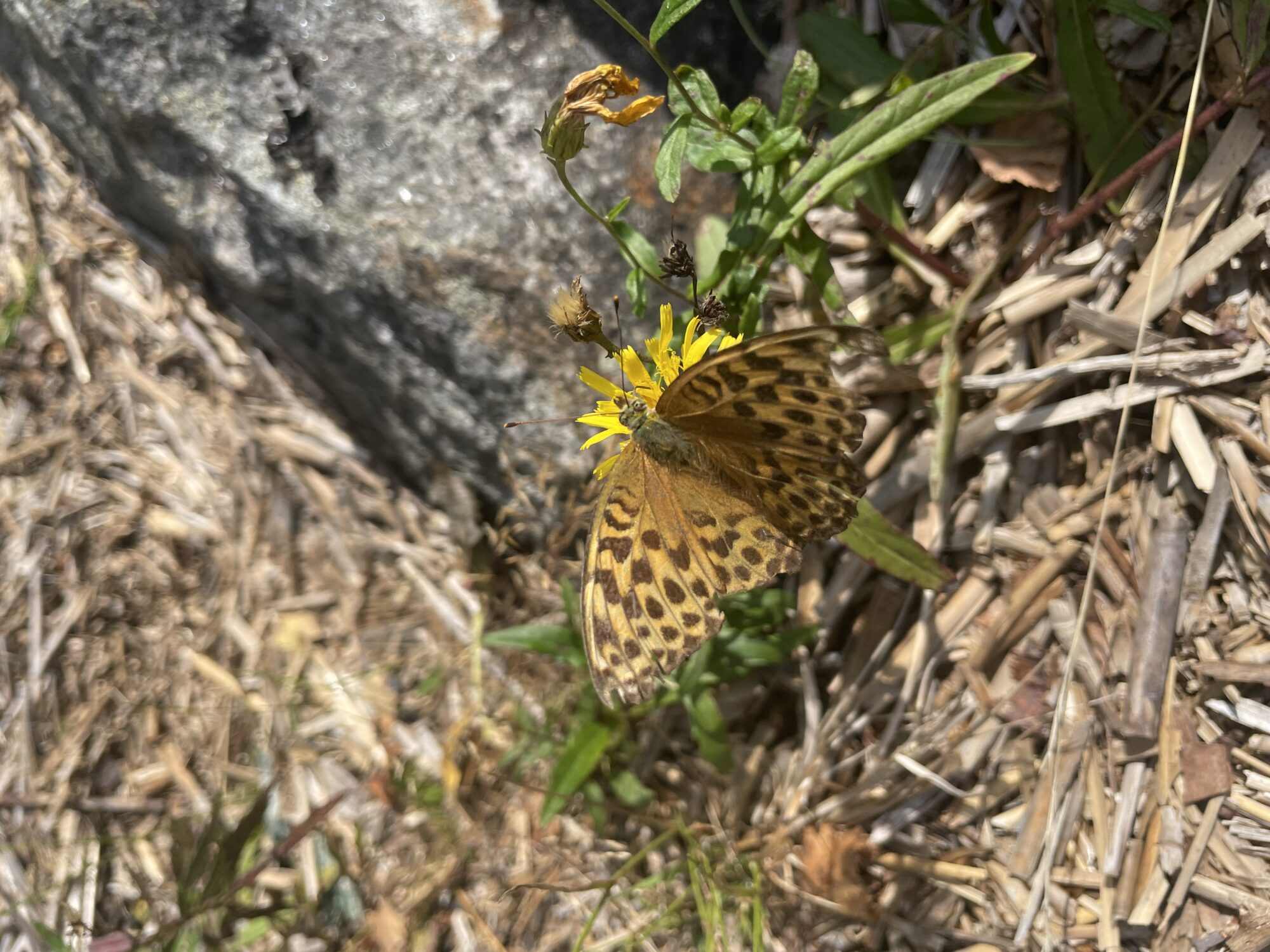 Valokuvaaja: Päivi Nylund