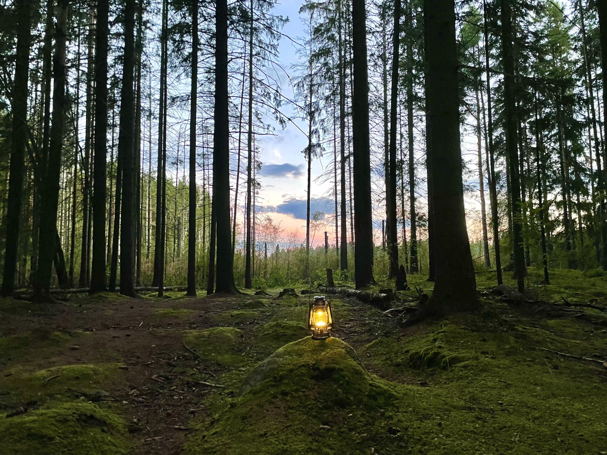 Valokuvaaja: Juhani Peltonen