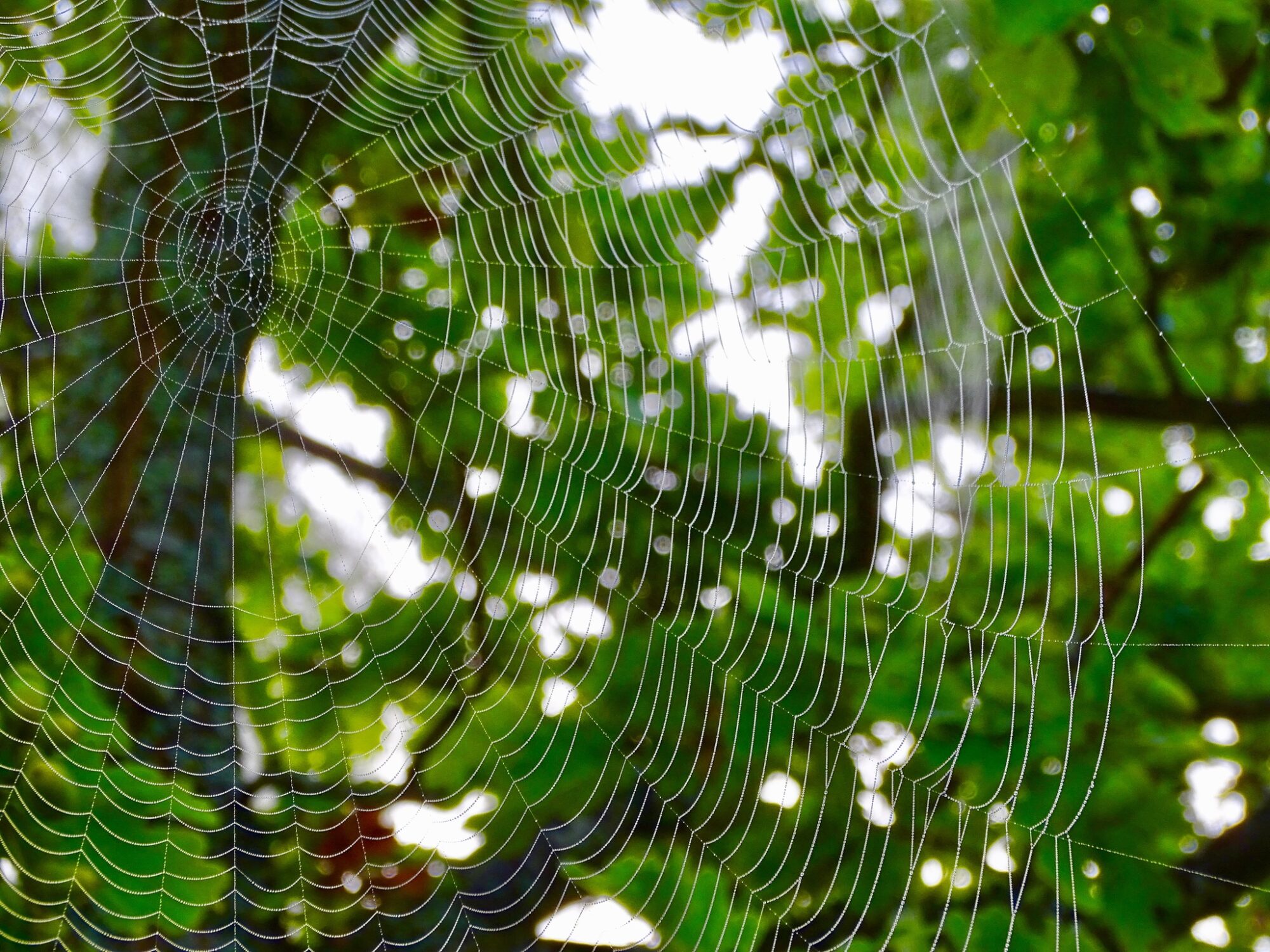 Valokuvaaja: Juhani Peltonen Valokuvaaja: Juhani Peltonen