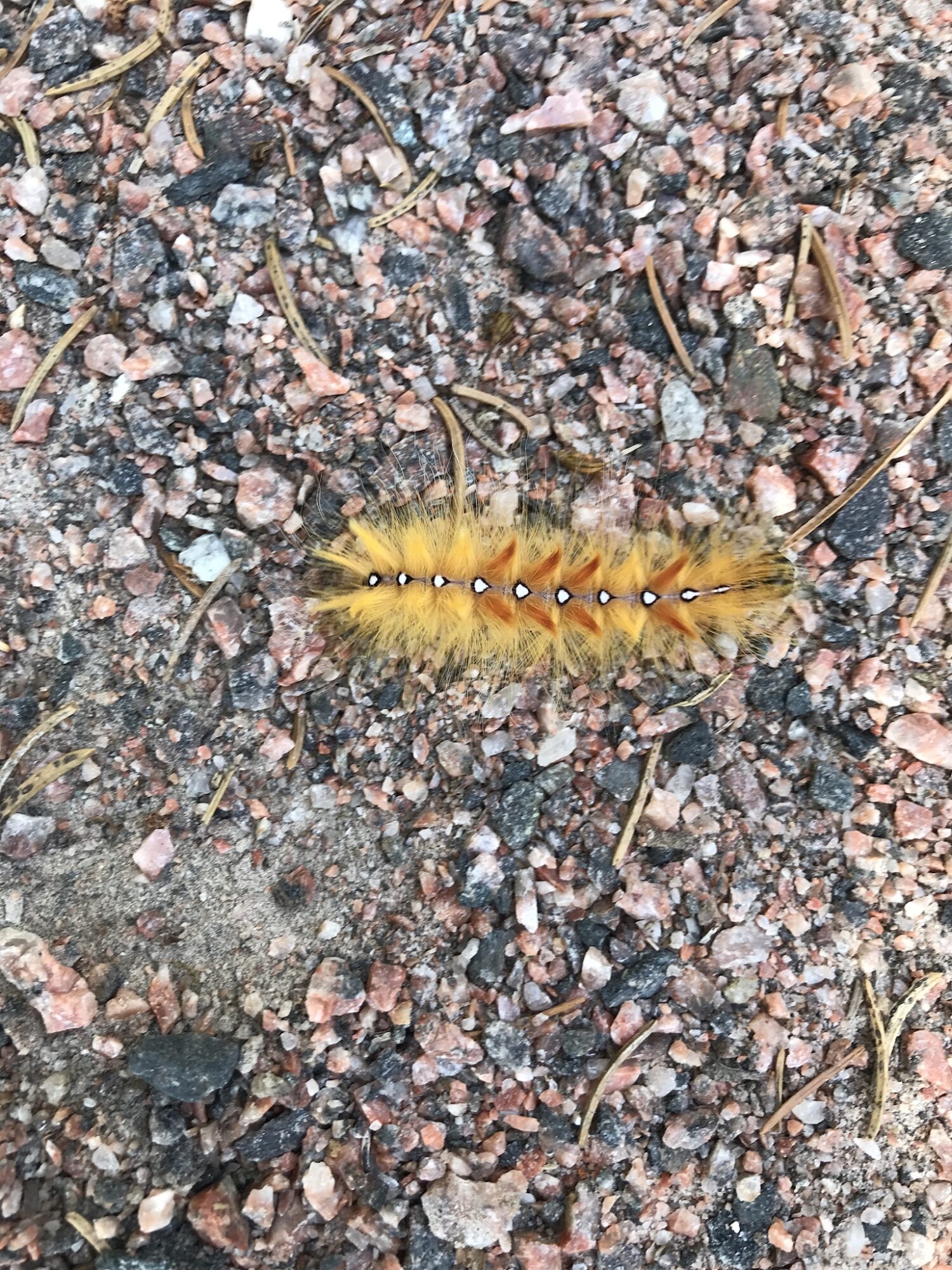 Valokuvaaja: Sirkka Nyberg