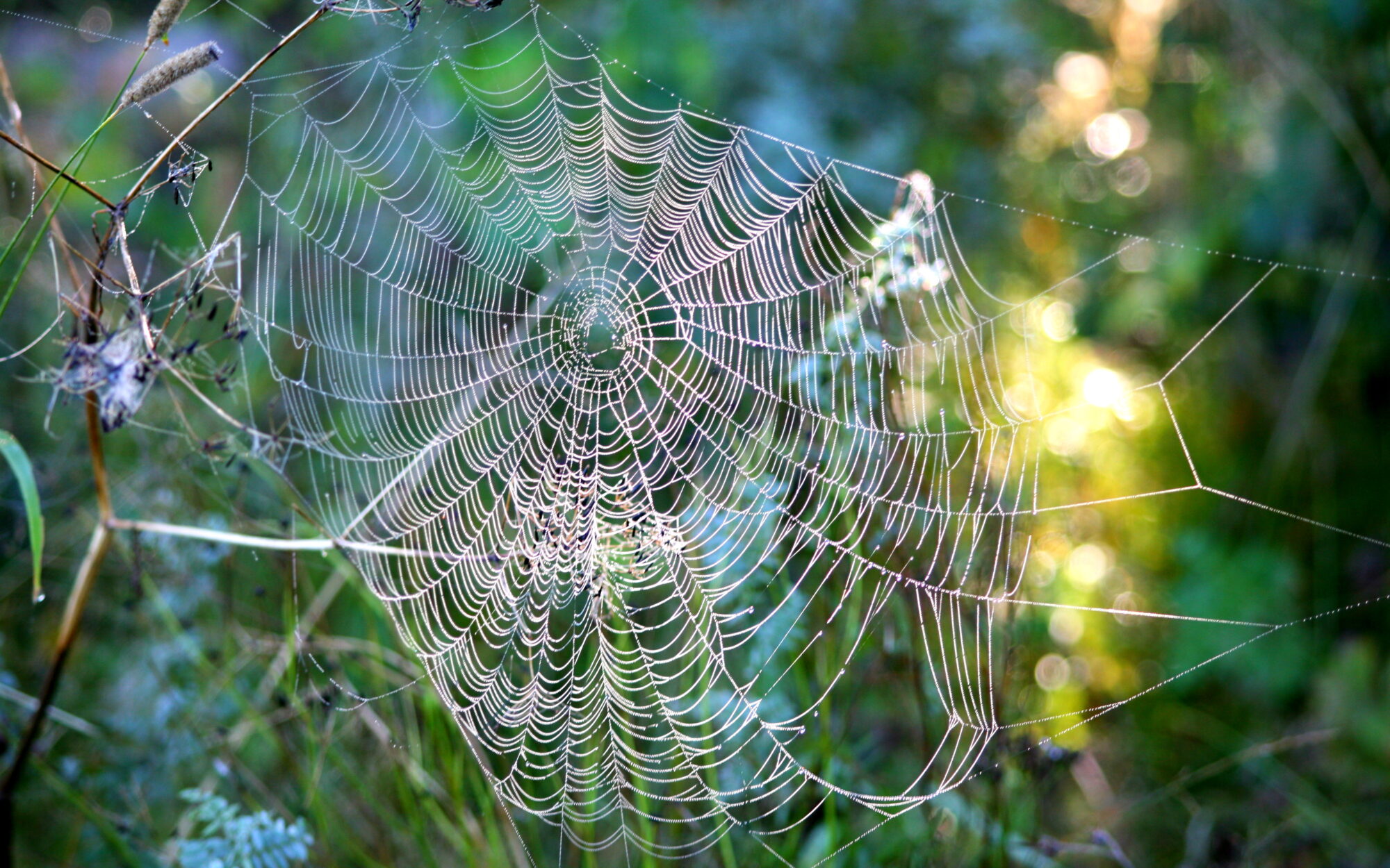 Valokuvaaja: Kaarlo Asikainen