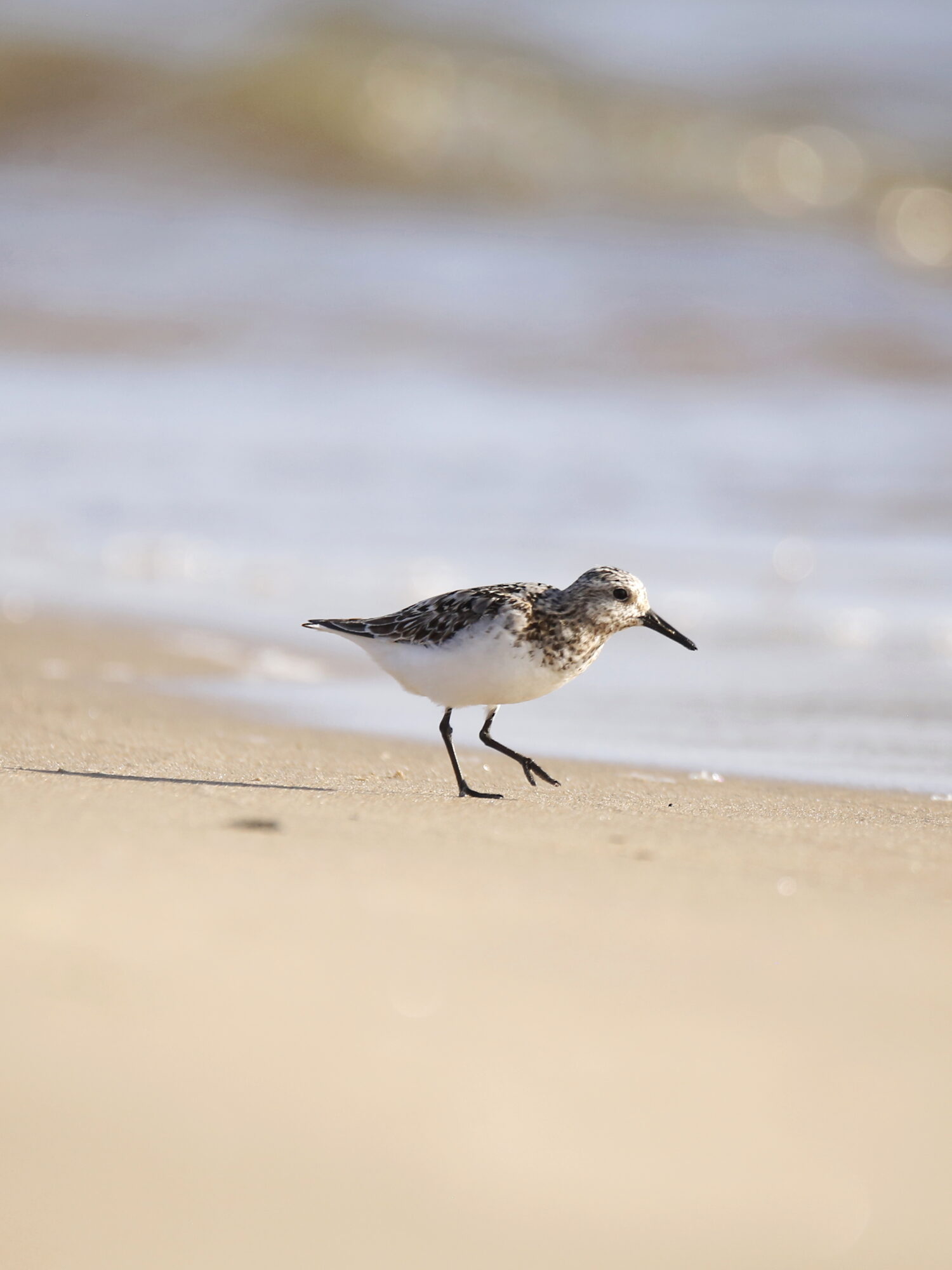 Valokuvaaja: Anne Jääskeläinen Valokuvaaja: Anne Jääskeläinen