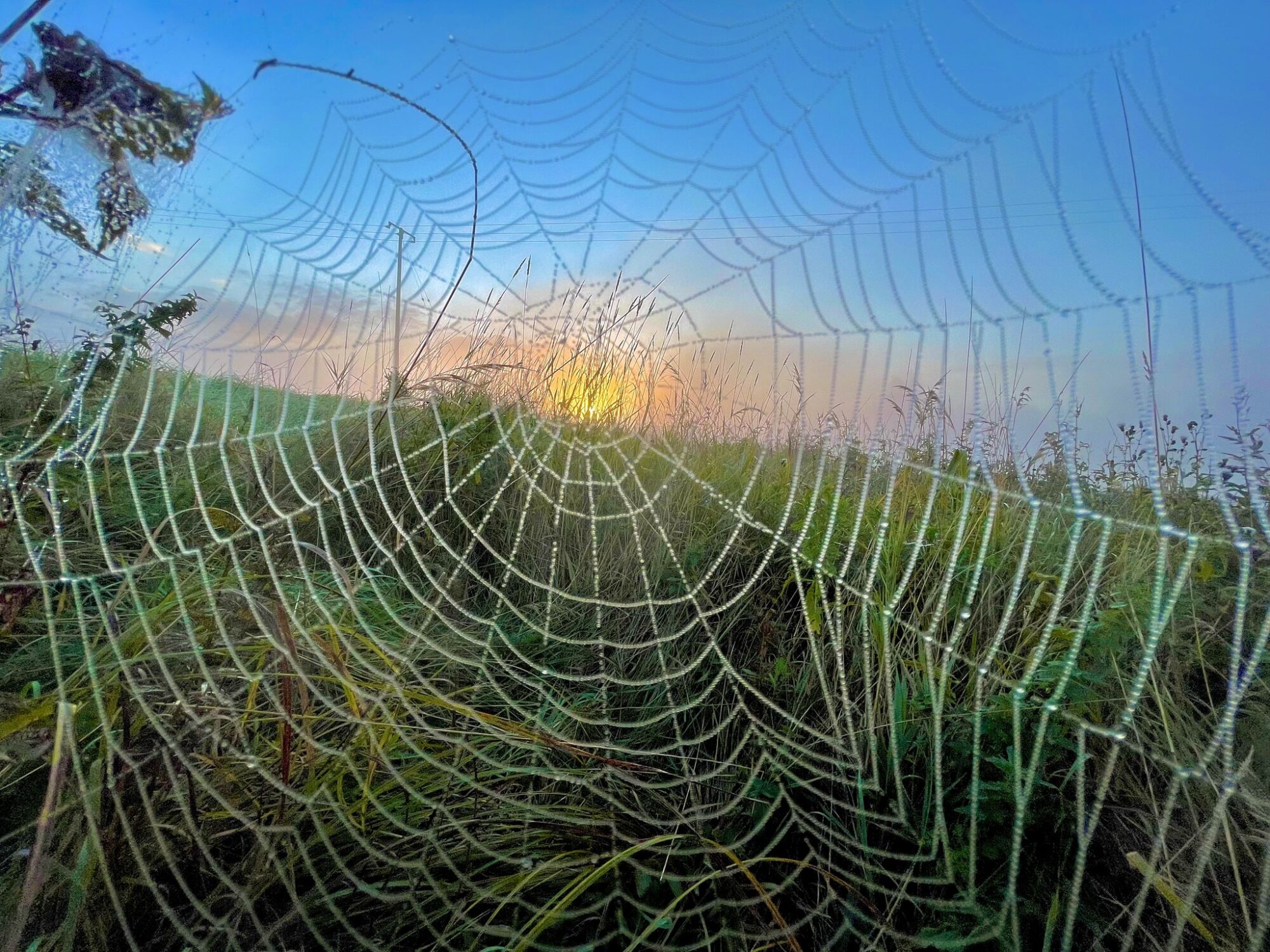 Valokuvaaja: Juhani Peltonen