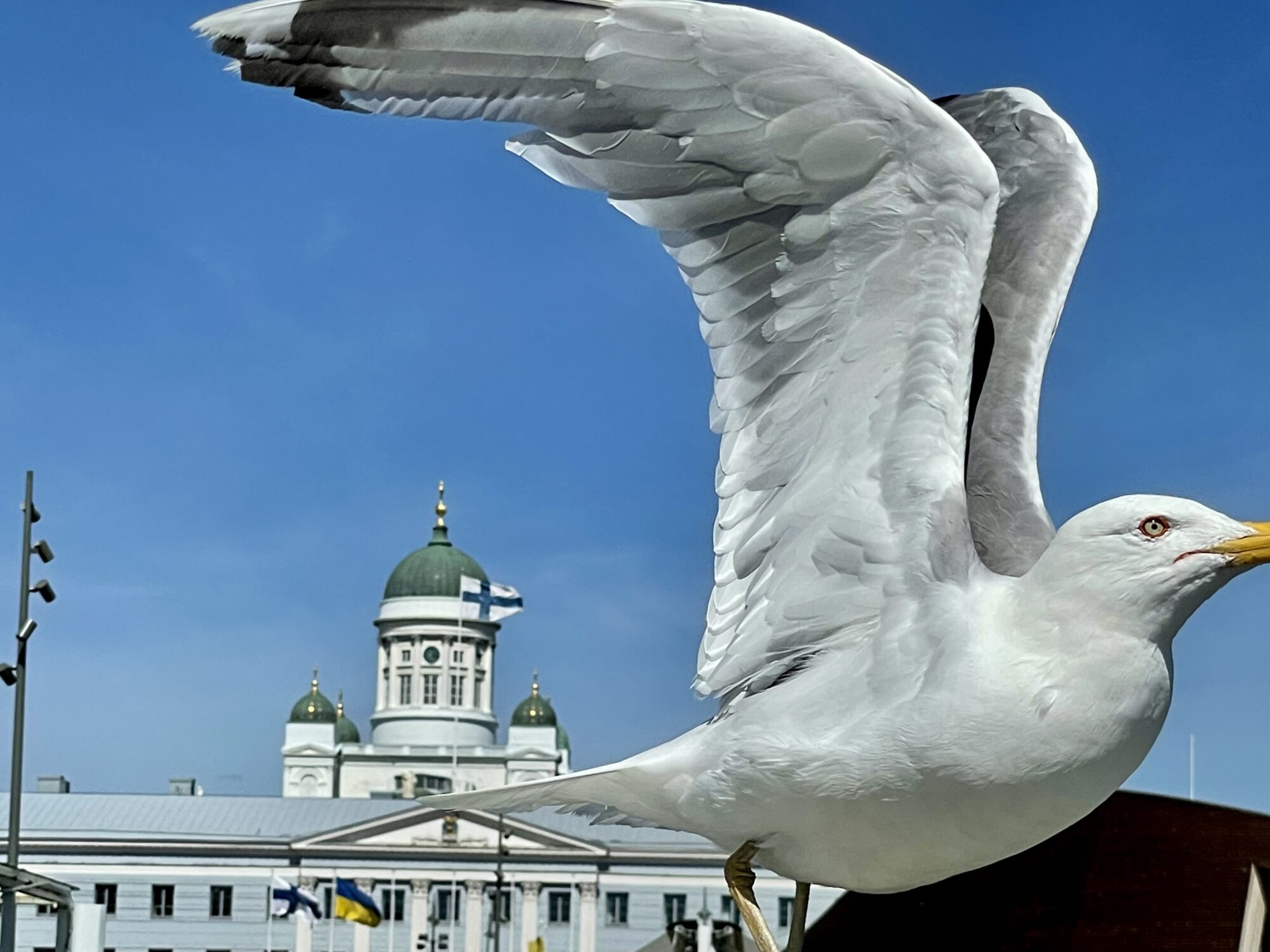 Valokuvaaja: Juhani Peltonen