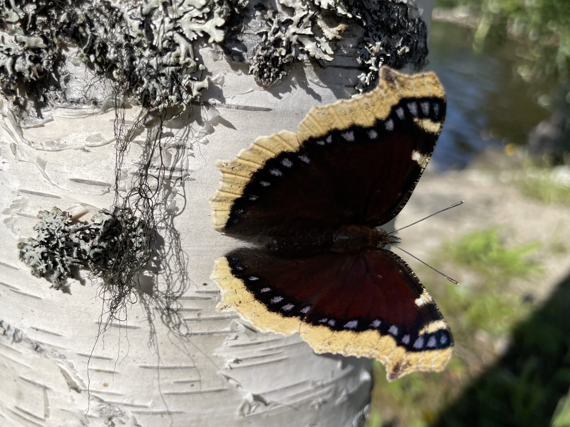 Valokuvaaja: Hanna Hagqvist