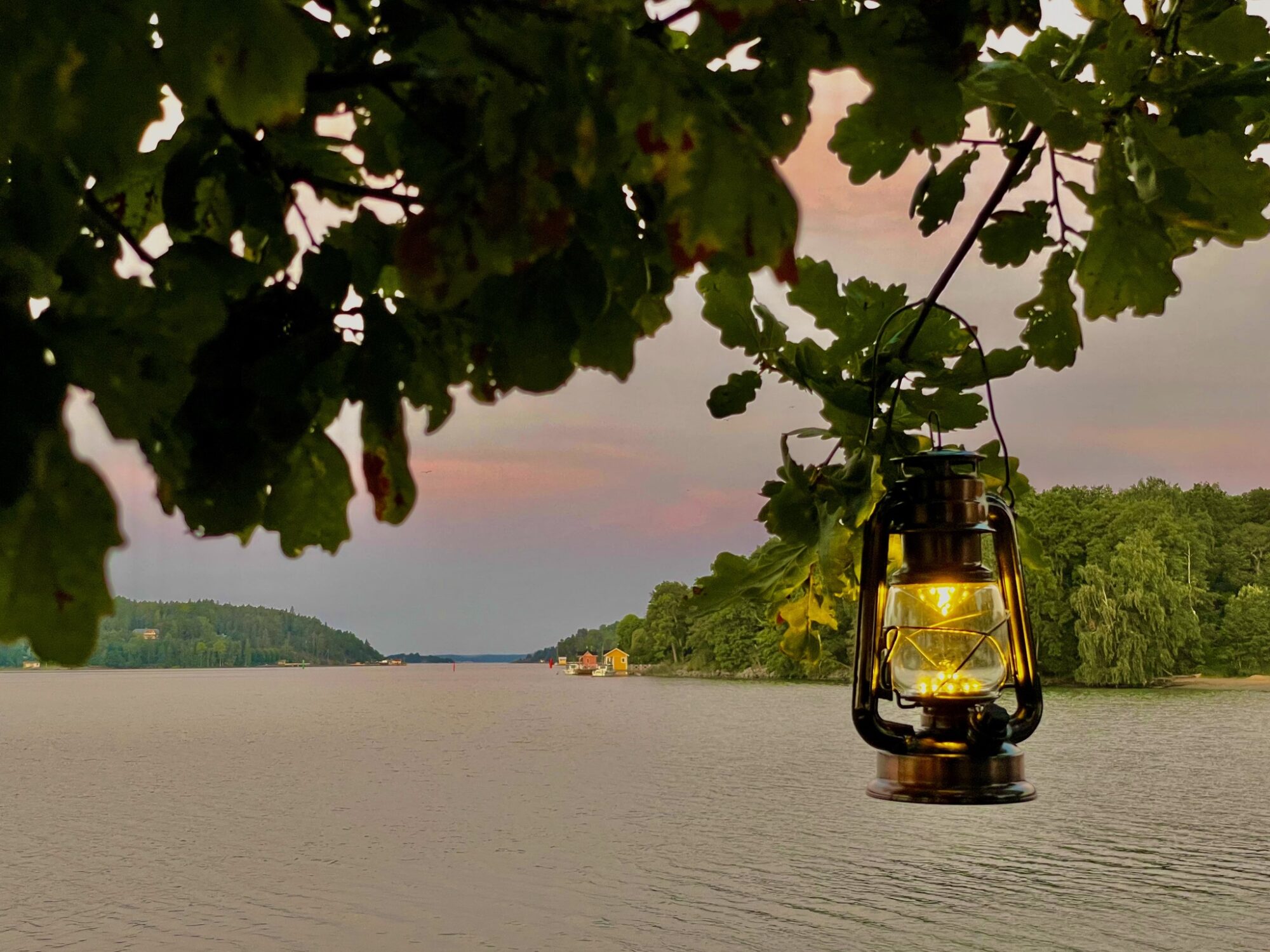 Valokuvaaja: Juhani Peltonen