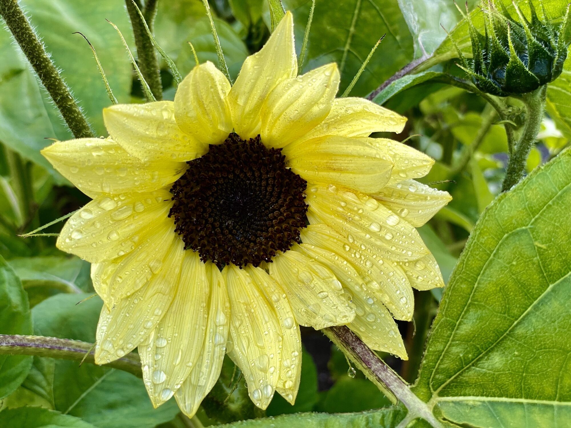 Valokuvaaja: Juhani Peltonen