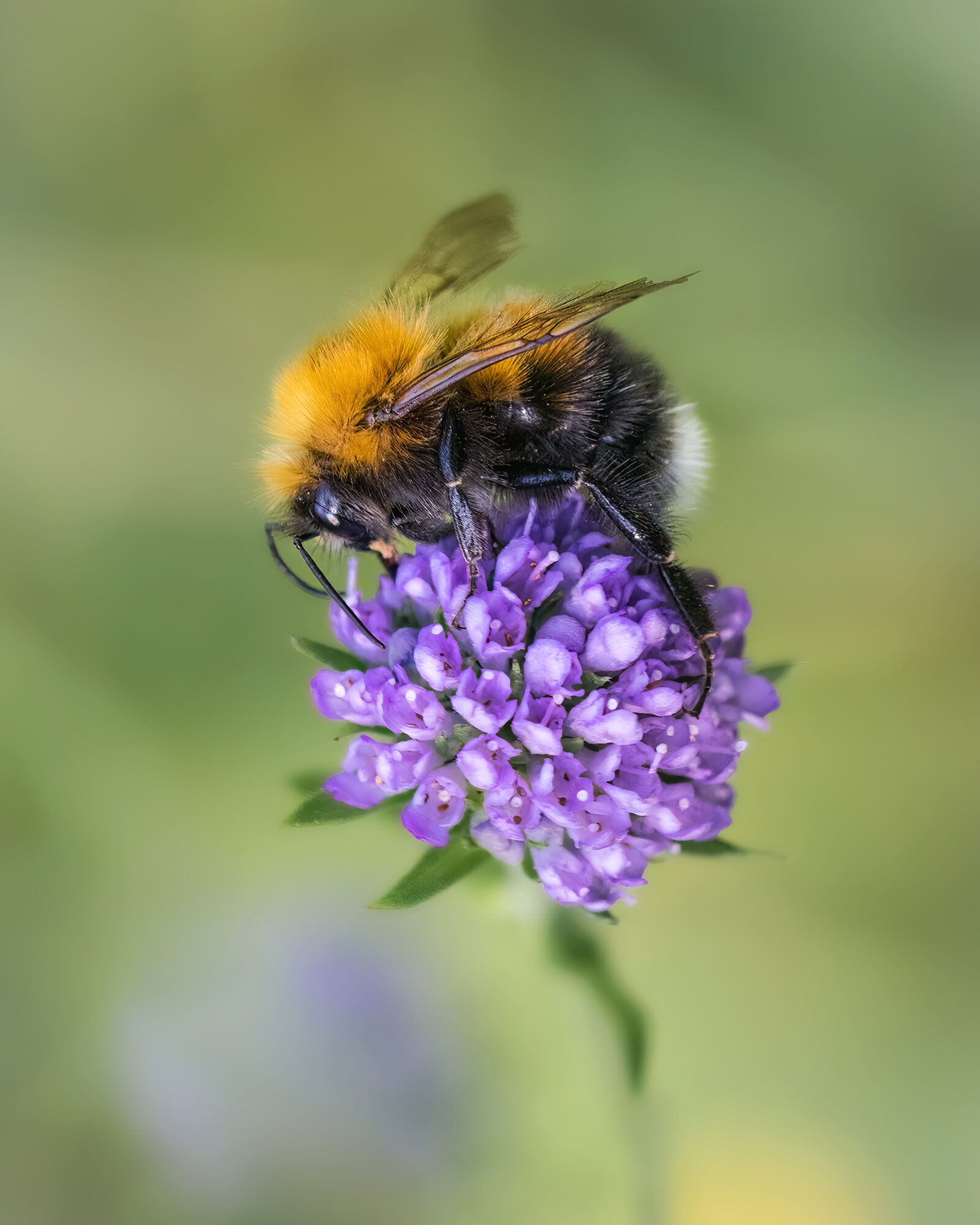 Valokuvaaja: Risto Lavi