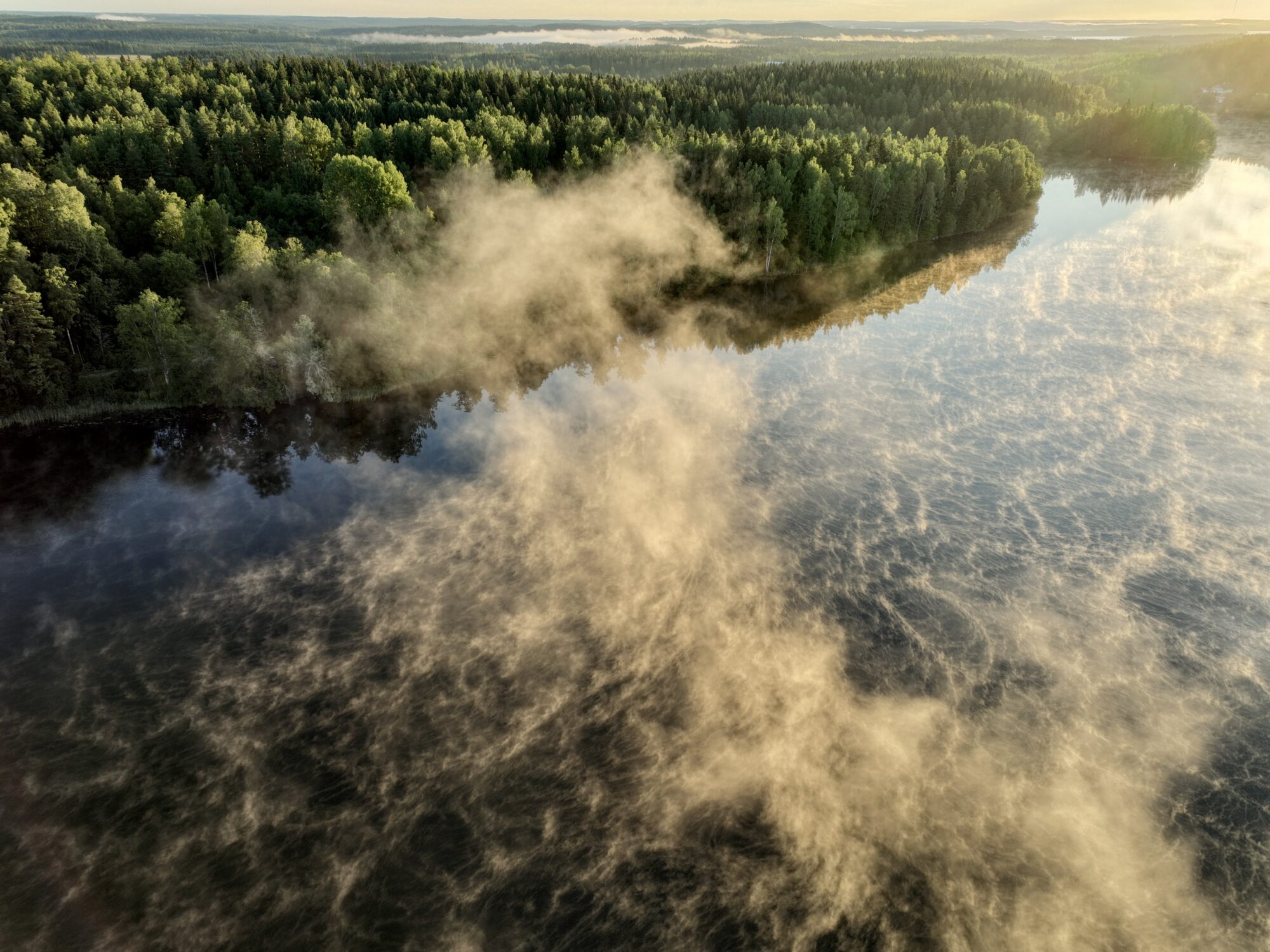 Valokuvaaja: Ari Branthin Valokuvaaja: Ari Branthin