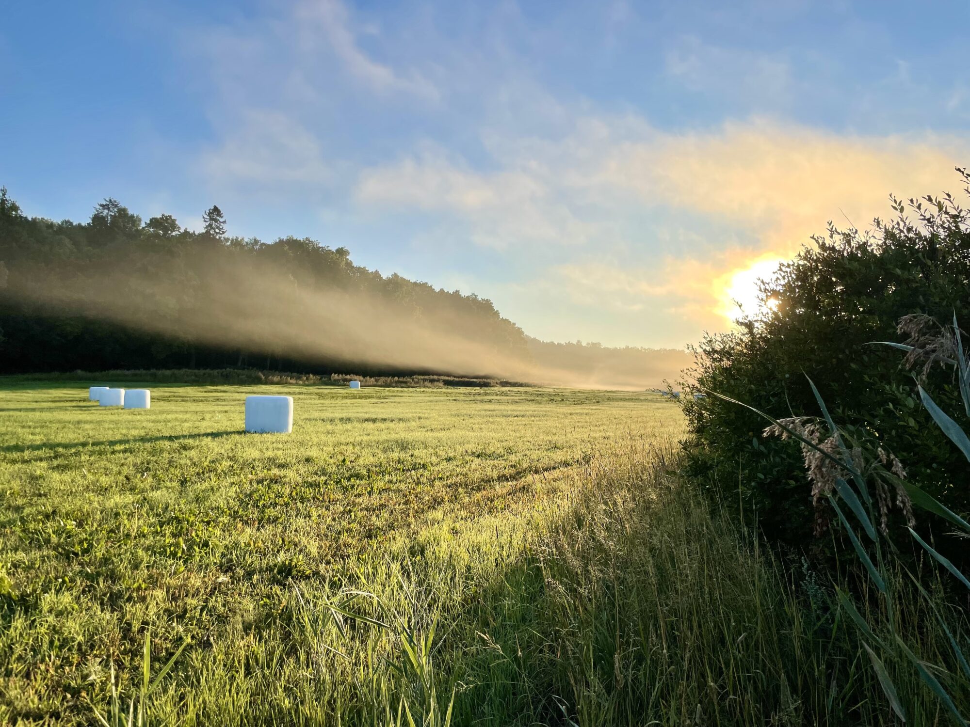 Valokuvaaja: Juhani Peltonen