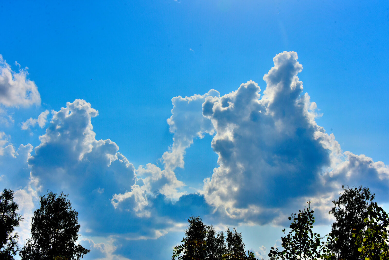Valokuvaaja: Reijo Juurinen