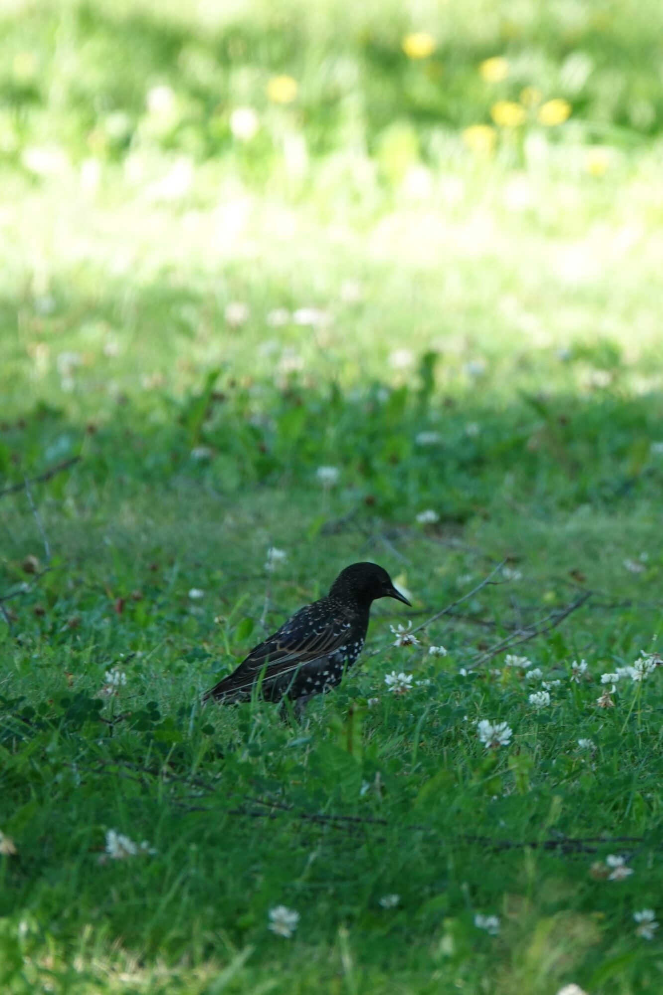 Valokuvaaja: Jenna Pitkänen