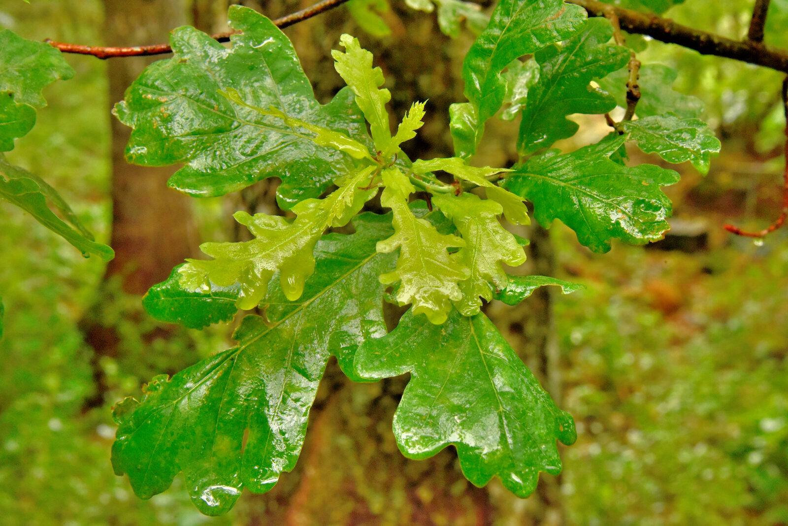 Valokuvaaja: Reijo Juurinen