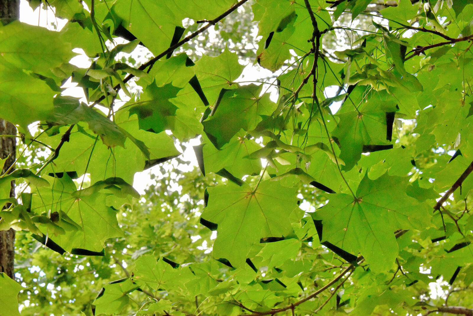 Valokuvaaja: Reijo Juurinen