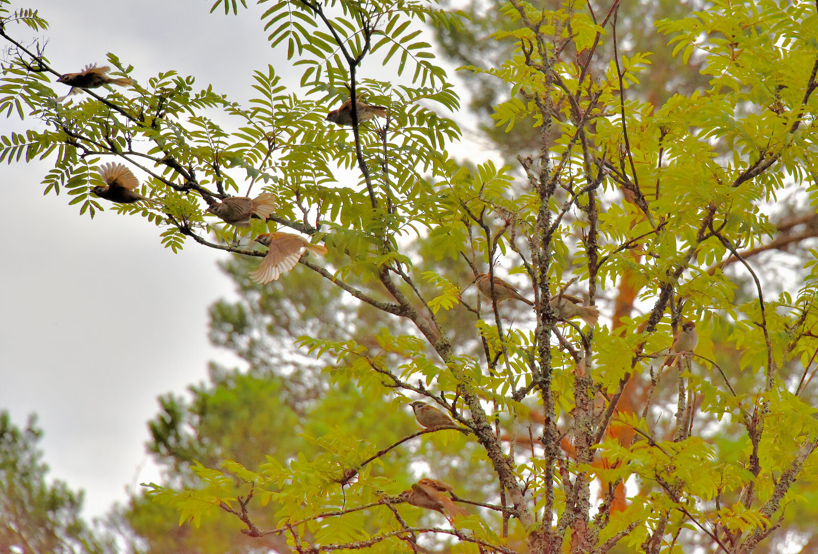 Valokuvaaja: Reijo Juurinen Valokuvaaja: Reijo Juurinen