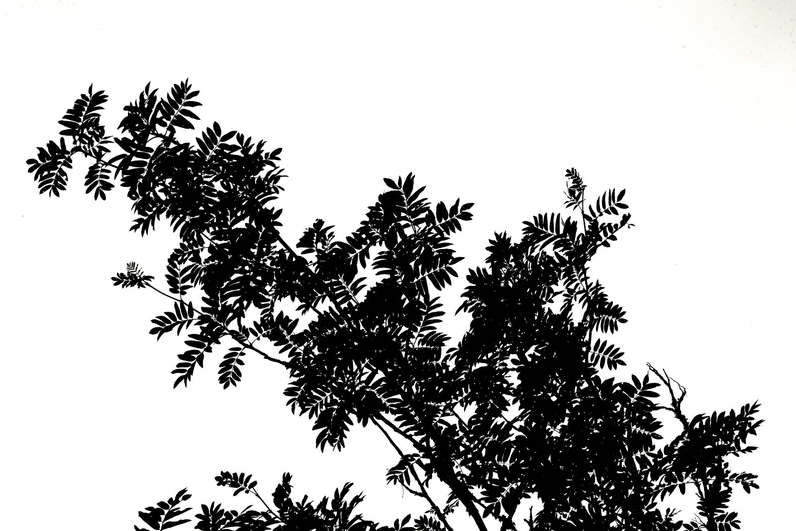 Valokuvaaja: Reijo Juurinen