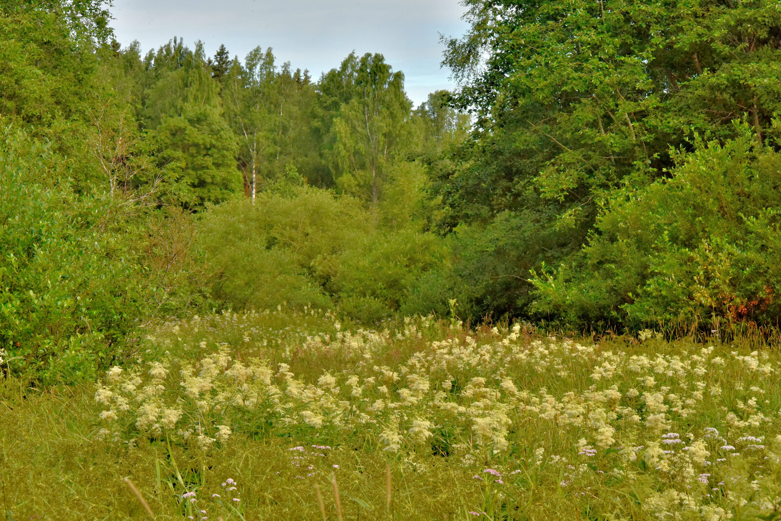 Valokuvaaja: Reijo Juurinen