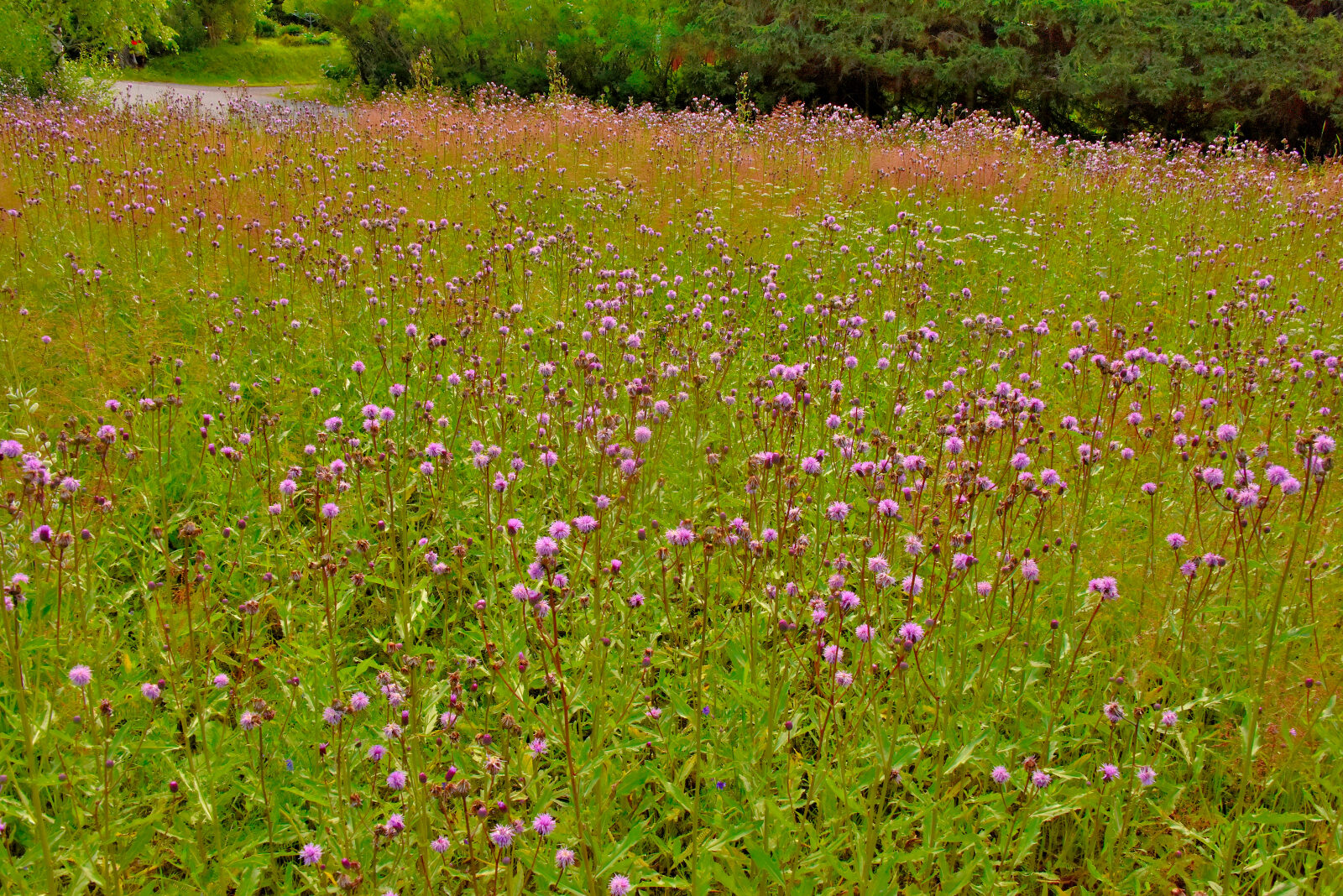 Valokuvaaja: Reijo Juurinen Valokuvaaja: Reijo Juurinen