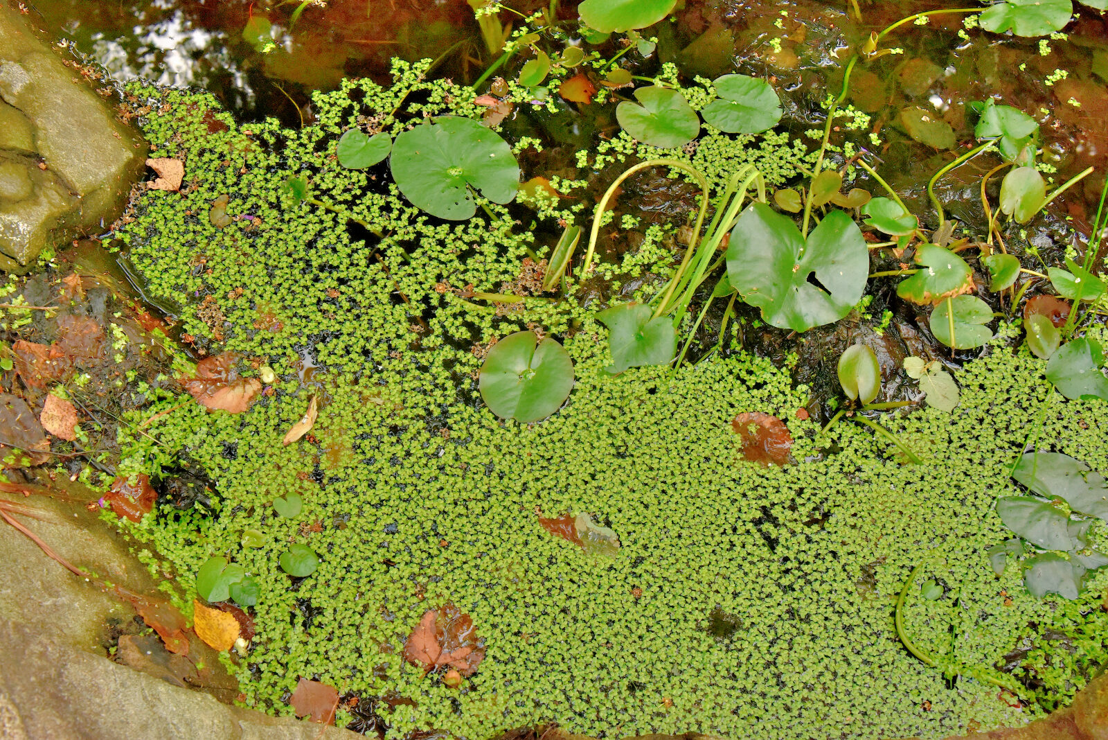 Valokuvaaja: Reijo Juurinen