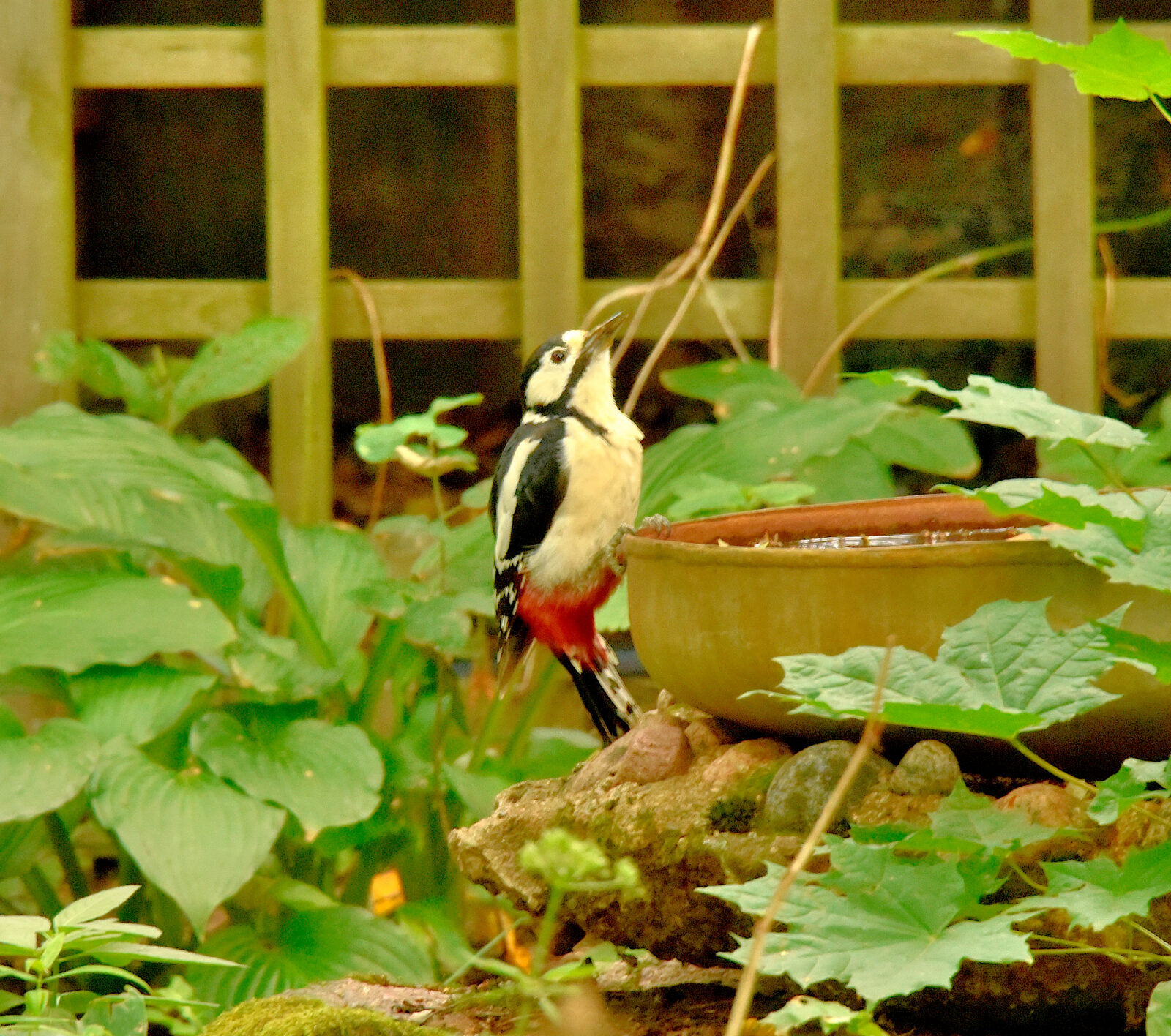 Valokuvaaja: Reijo Juurinen