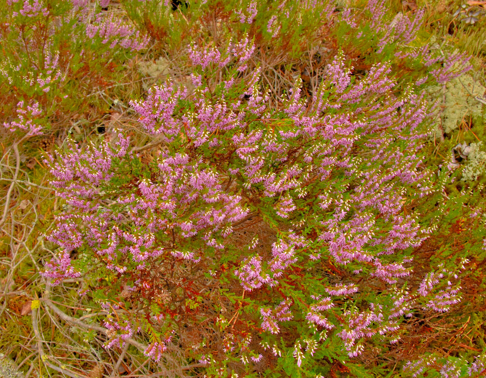 Valokuvaaja: Reijo Juurinen