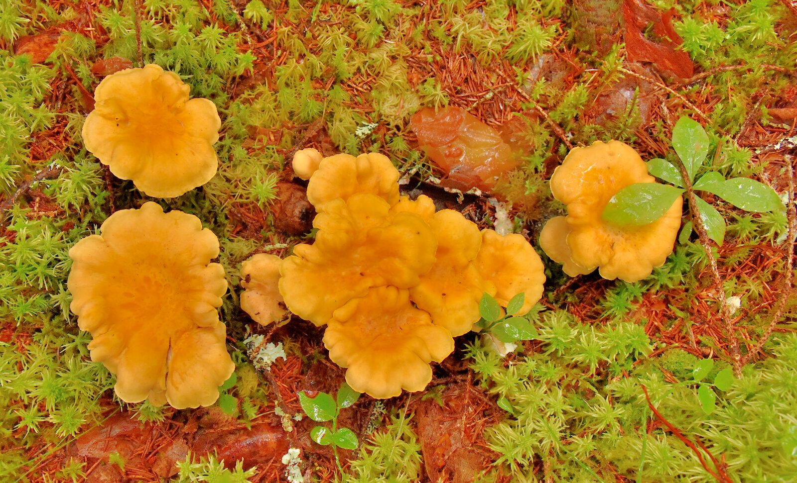 Valokuvaaja: Reijo Juurinen Valokuvaaja: Reijo Juurinen