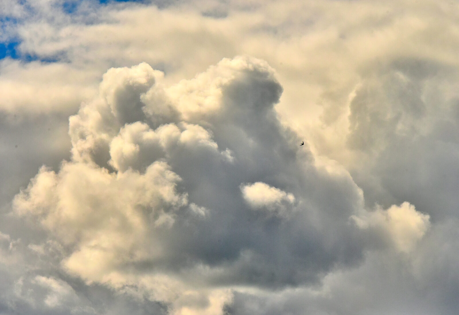 Valokuvaaja: Reijo Juurinen