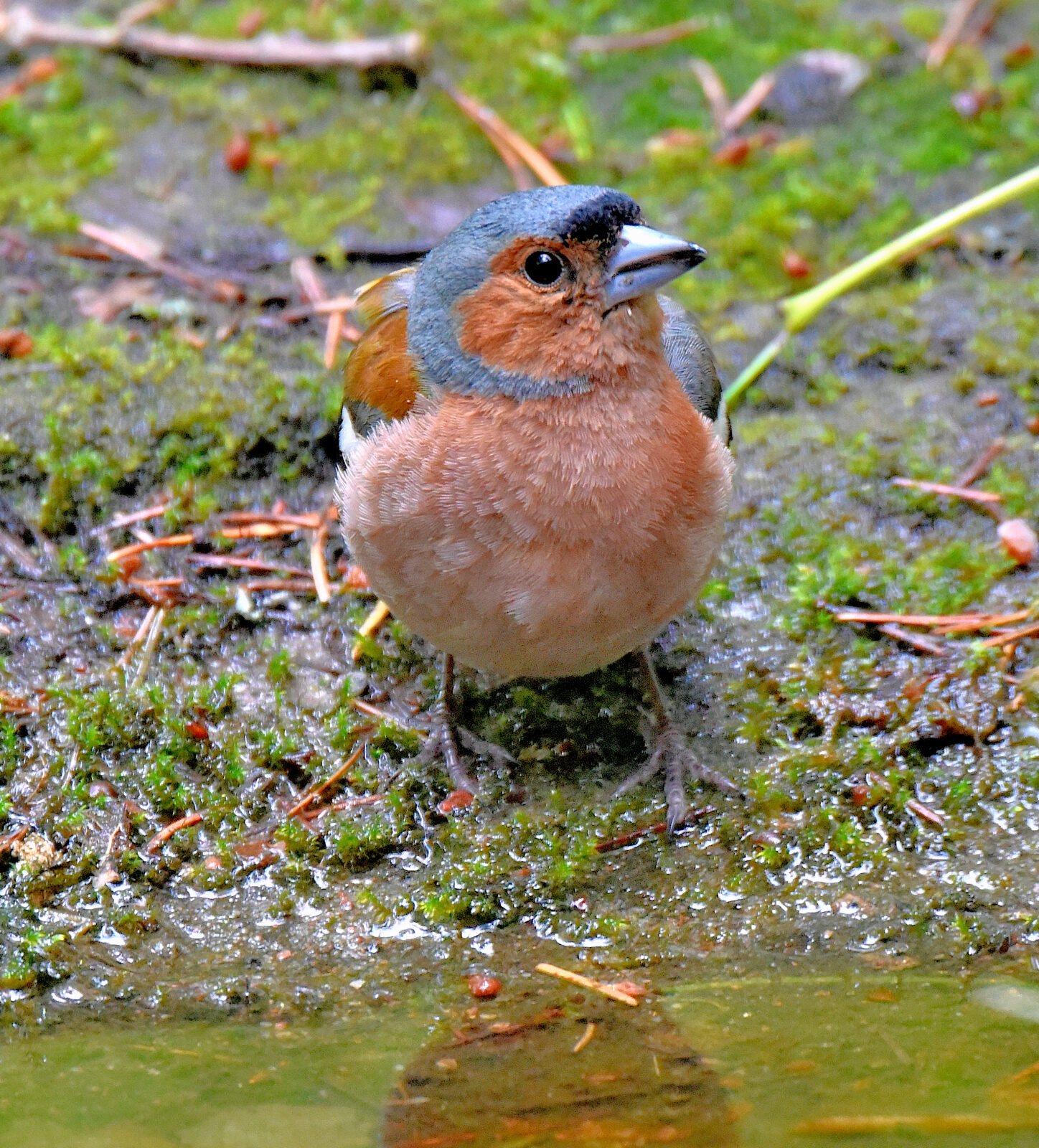 Valokuvaaja: Reijo Juurinen