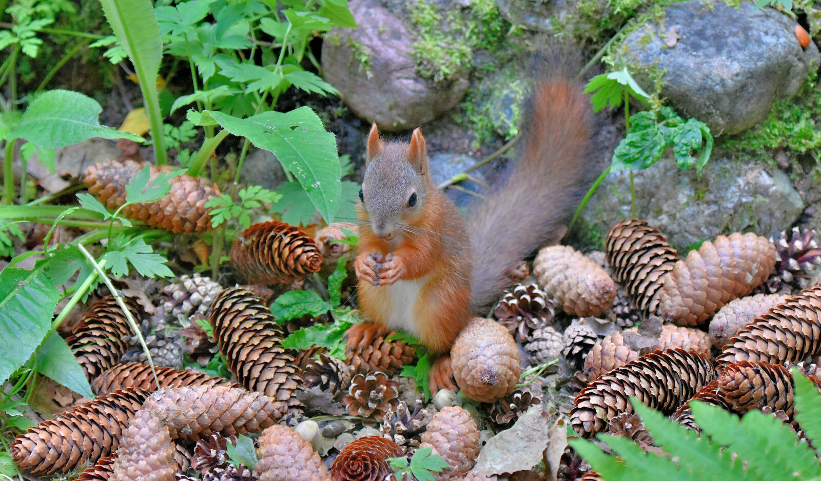 Valokuvaaja: Reijo Juurinen Valokuvaaja: Reijo Juurinen