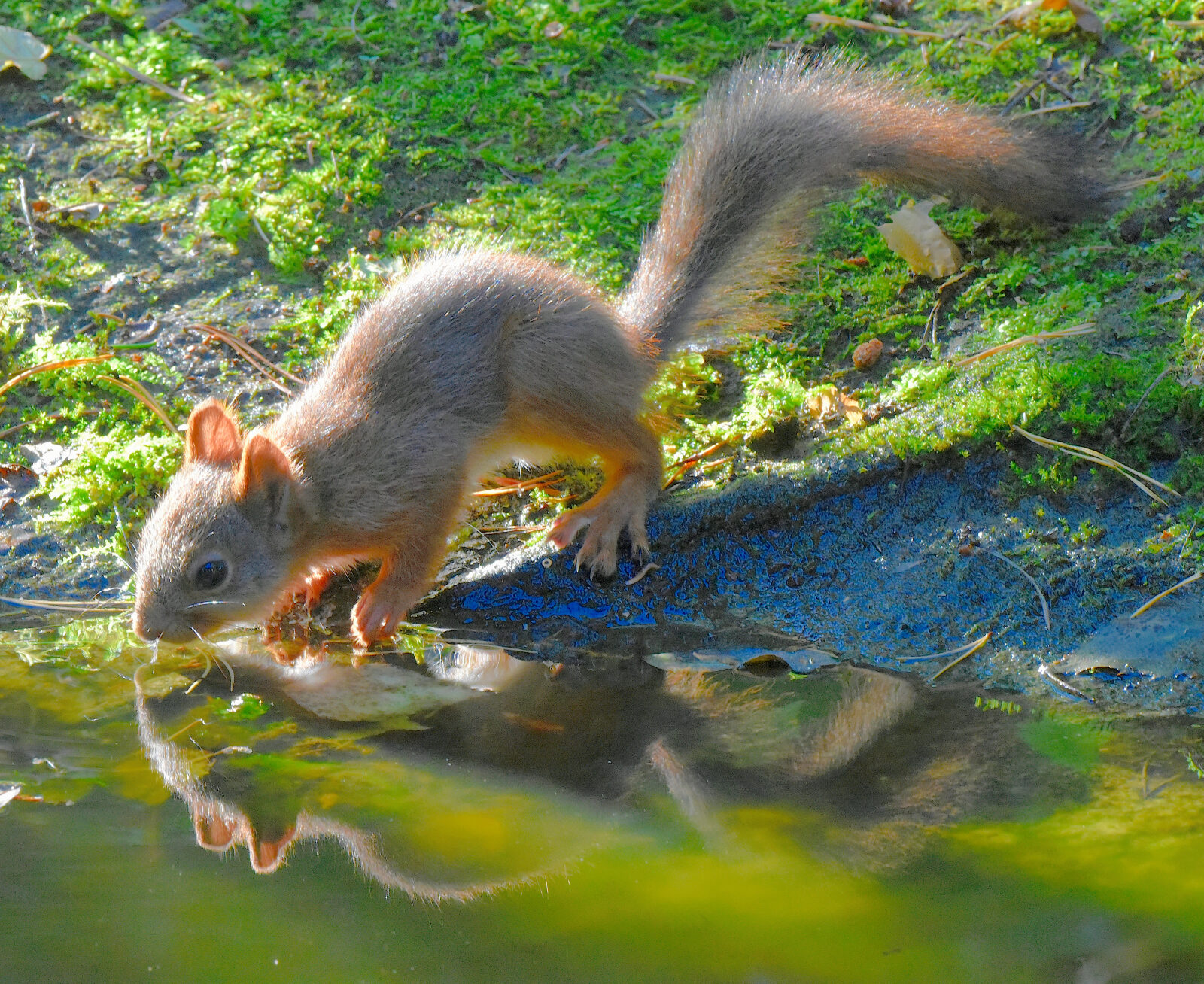 Valokuvaaja: Reijo Juurinen