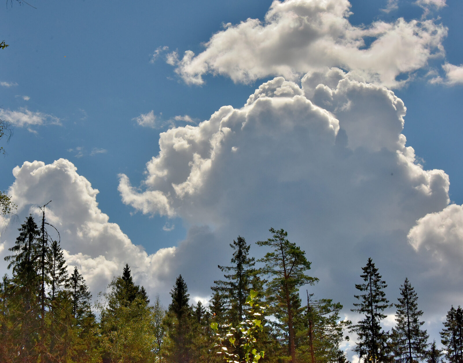 Valokuvaaja: Reijo Juurinen