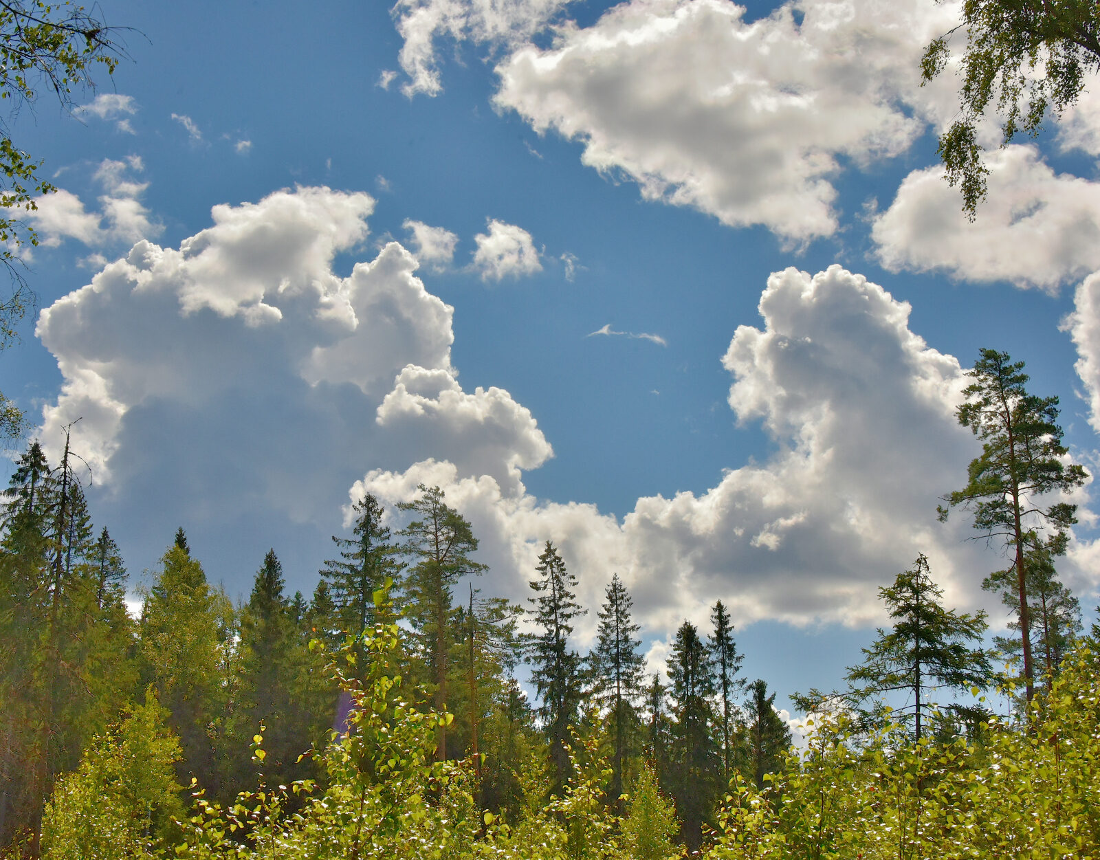 Valokuvaaja: Reijo Juurinen
