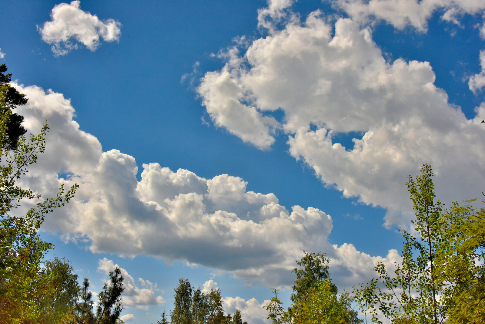 Valokuvaaja: Reijo Juurinen